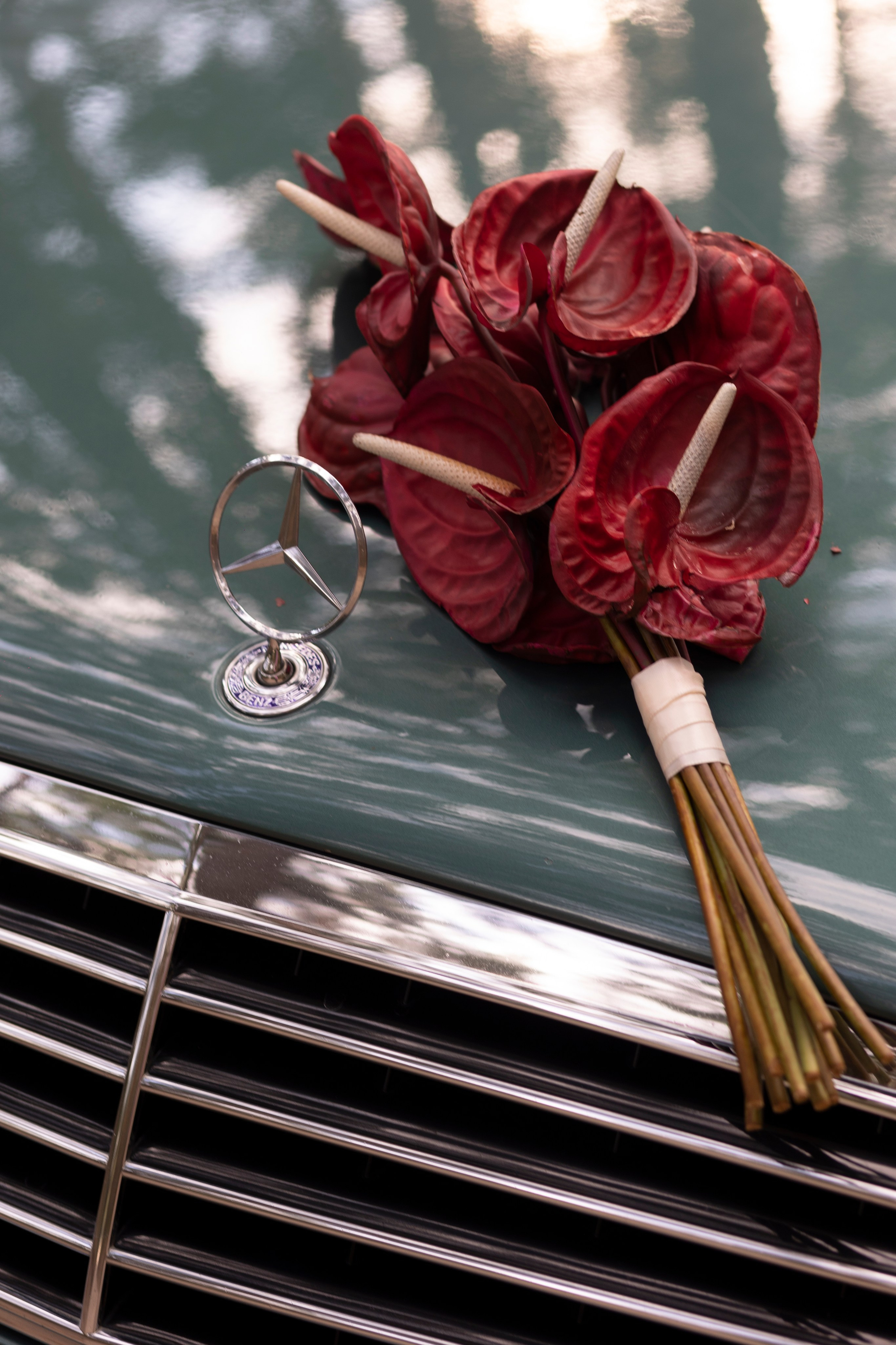 Дарья & Денис. Свадебный фотограф Наталья Молявина