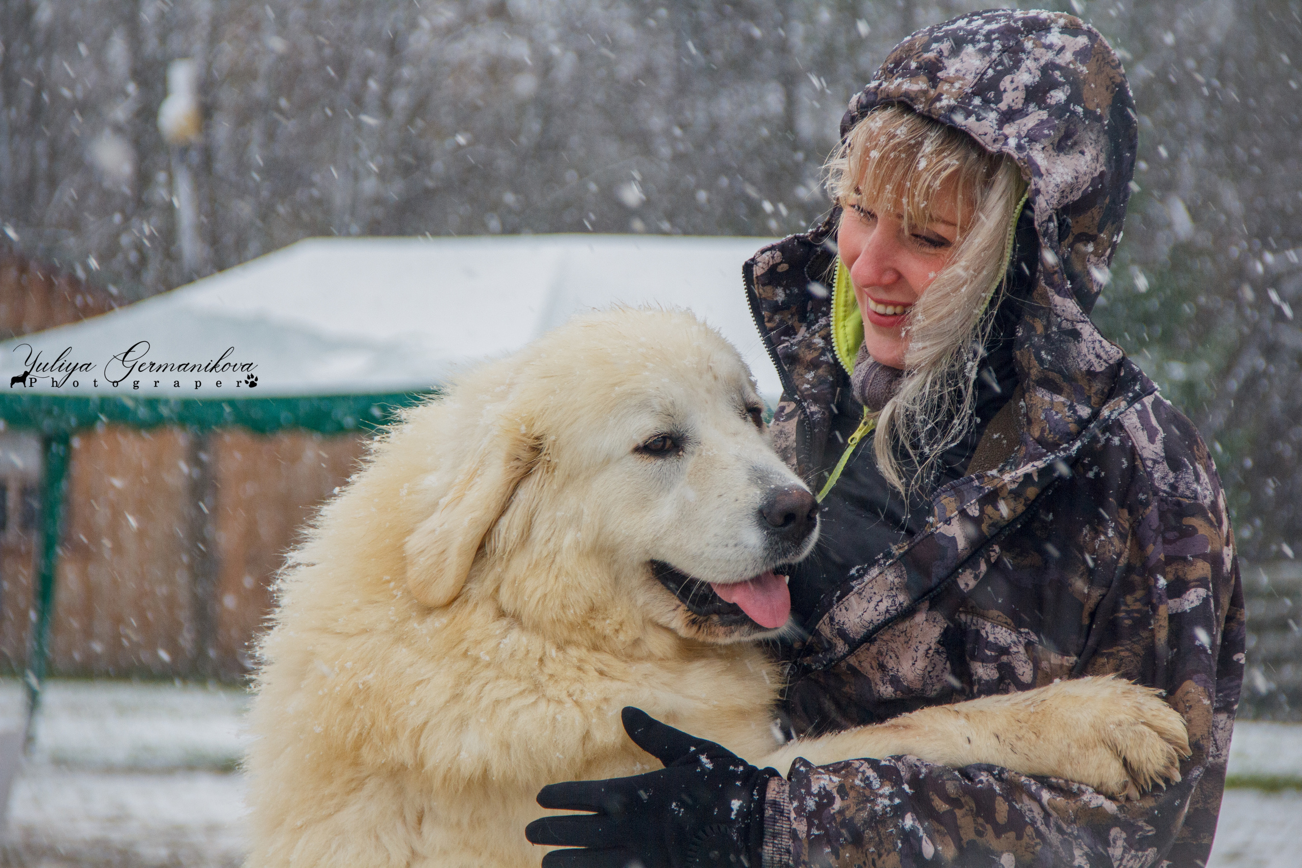 Монопородные выставки. Фотограф-анималист Юлия Германика