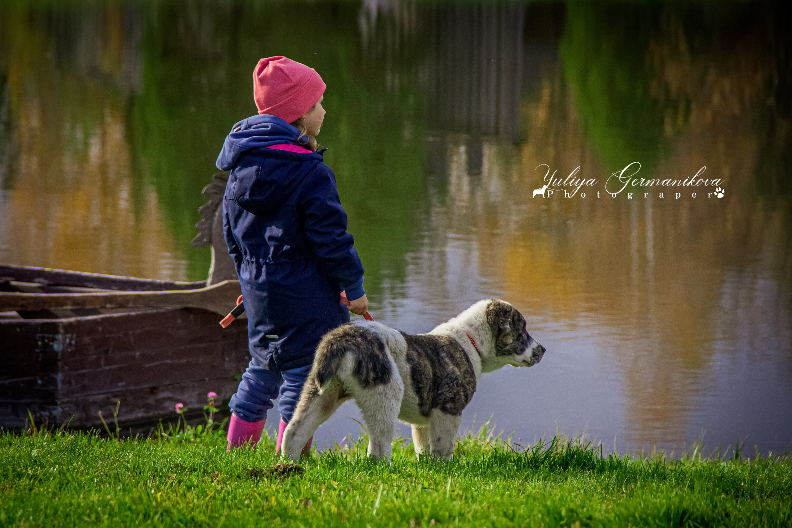 Монопородные выставки. Фотограф-анималист Юлия Германика