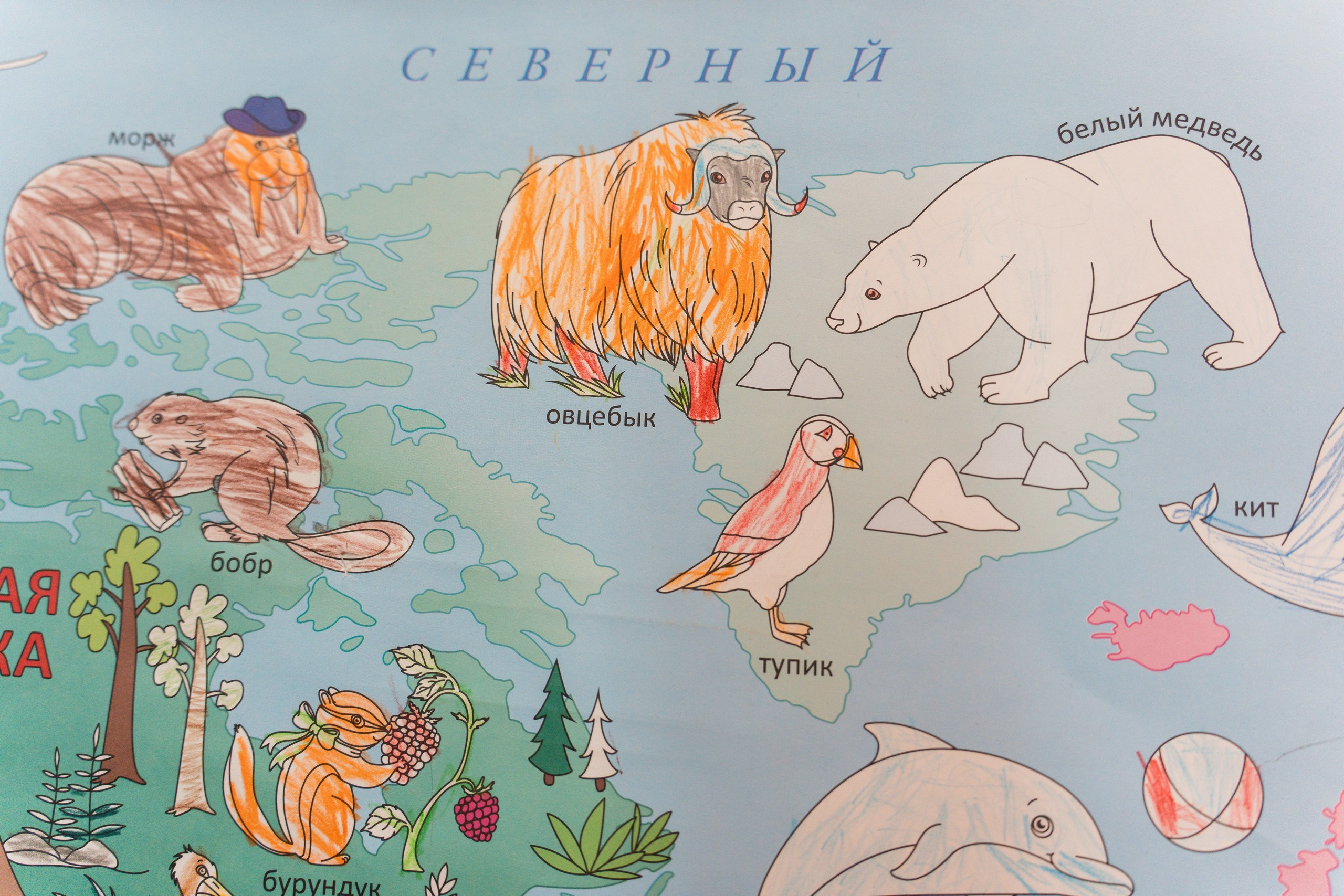 Пятёрка для ребёнка. Репортажная съёмка в Санкт-Петербурге, Константин Петров