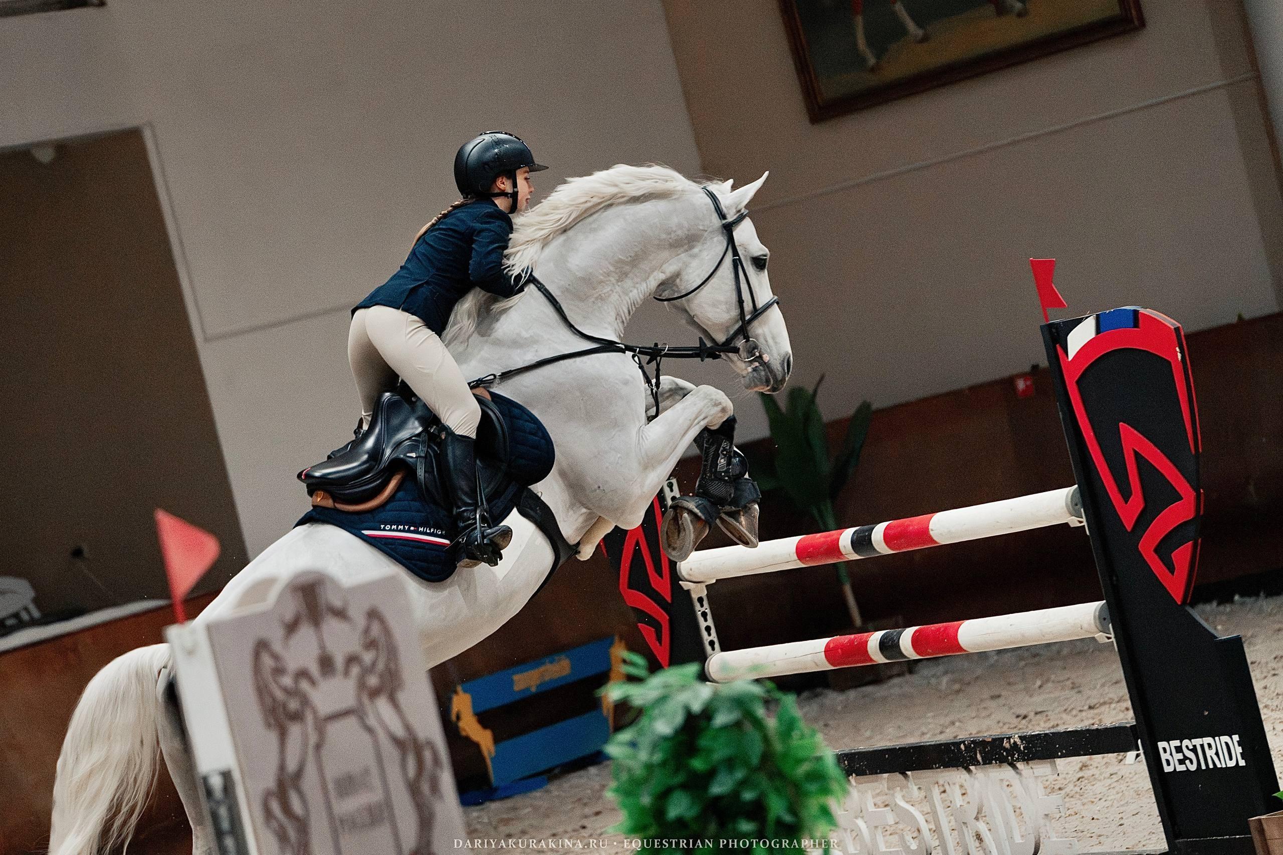 КУБОК ВУЗОВ. ФИНАЛ — КСК «ВИВАТ, РОССИЯ!». Куракина Дарья • Конный фотограф