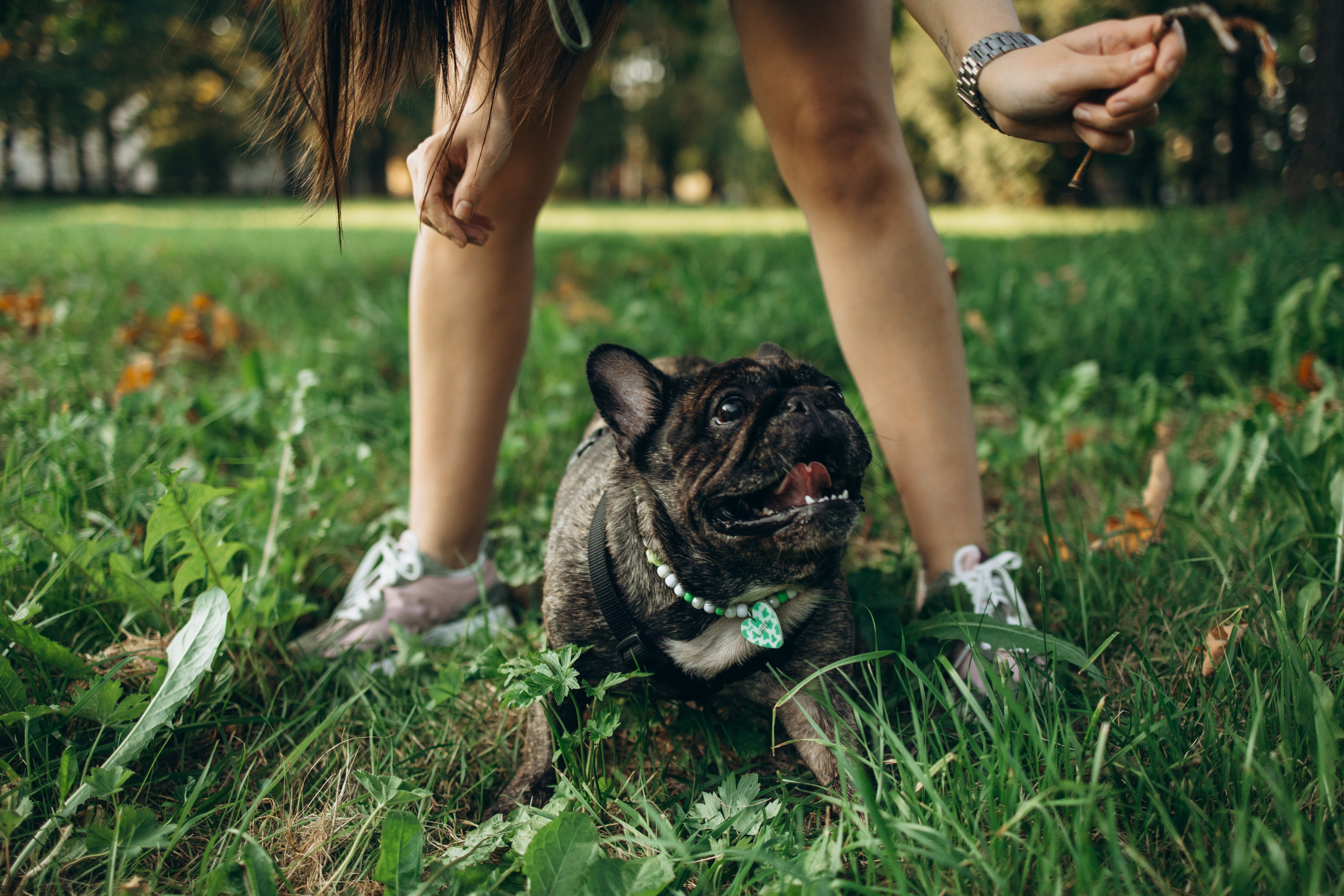 Олеся и Луи. Фотограф — Анималист | Санкт-Петербург