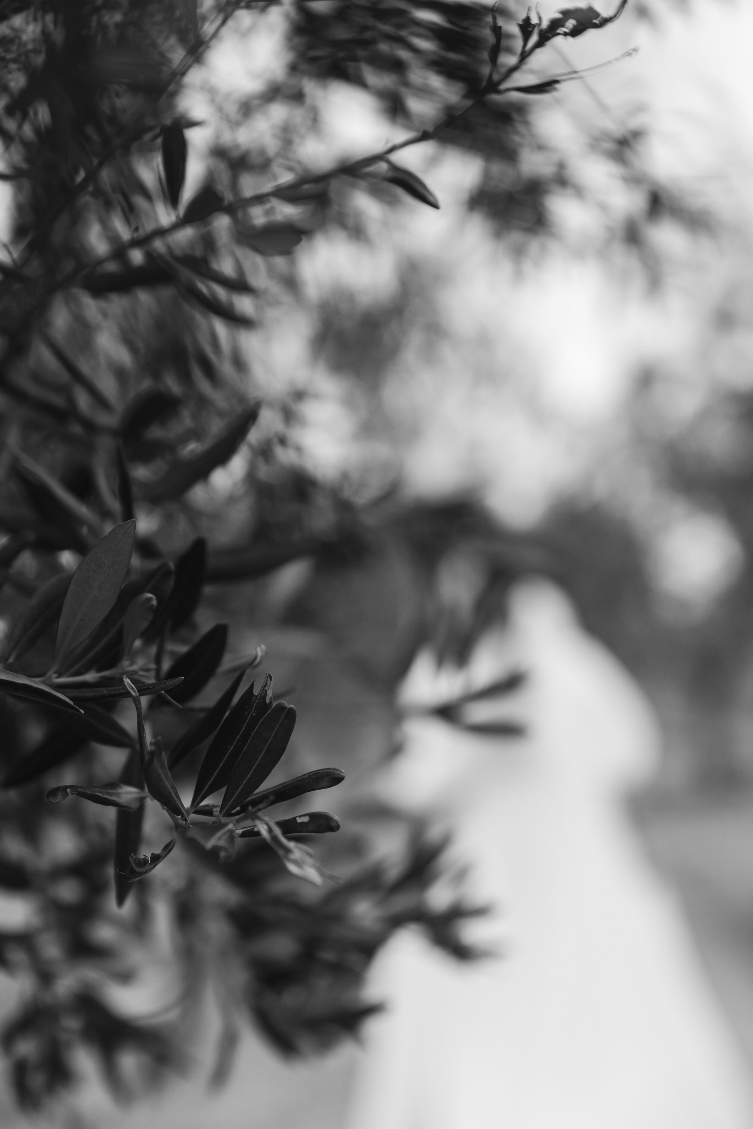 Анонс свадьба Владимир и Анастасия. Свадебный и семейный фотограф в Севастополе и Крыму Анастасия Сураева