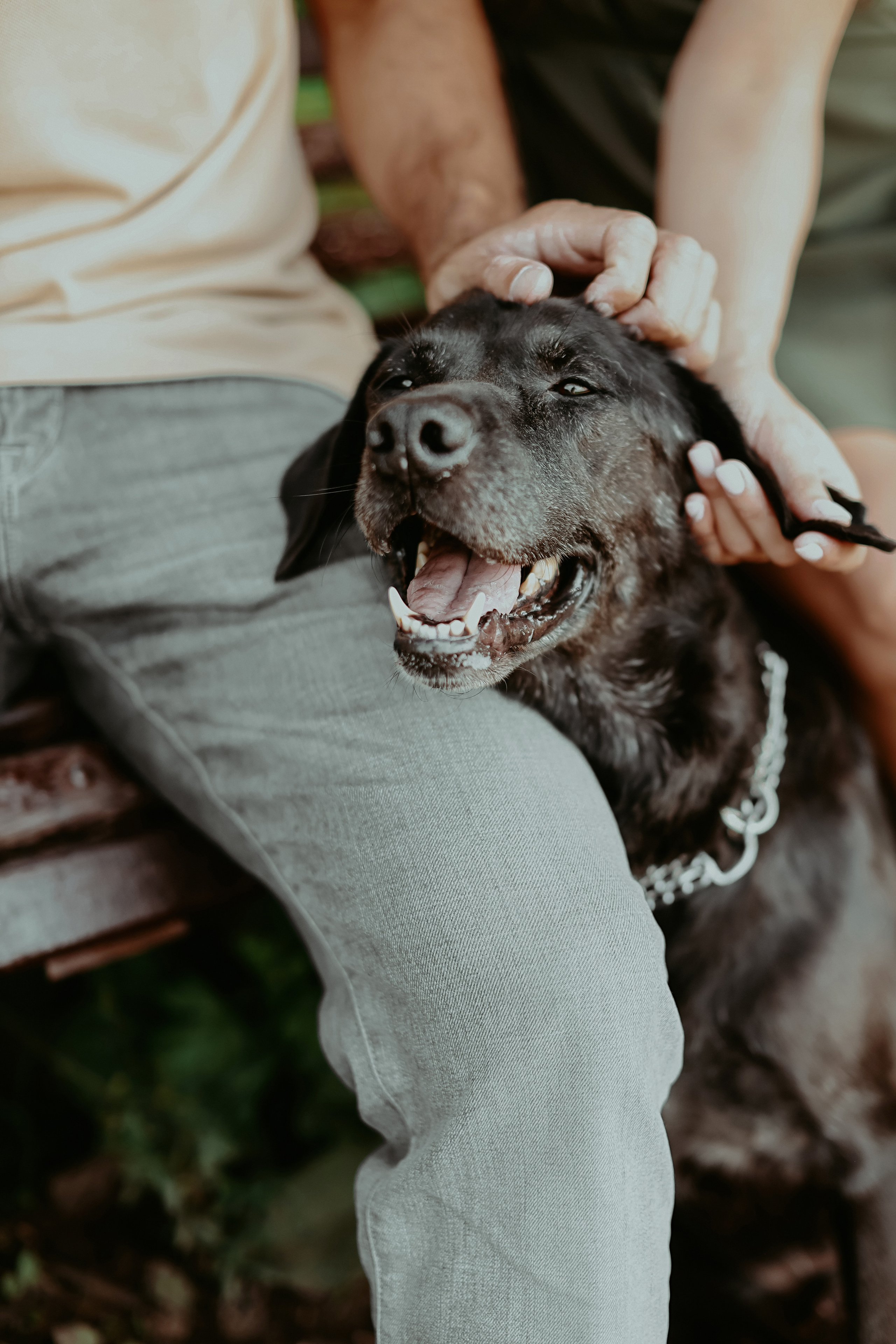 Дастин-верный друг. Фотограф Виктория Плотницкая