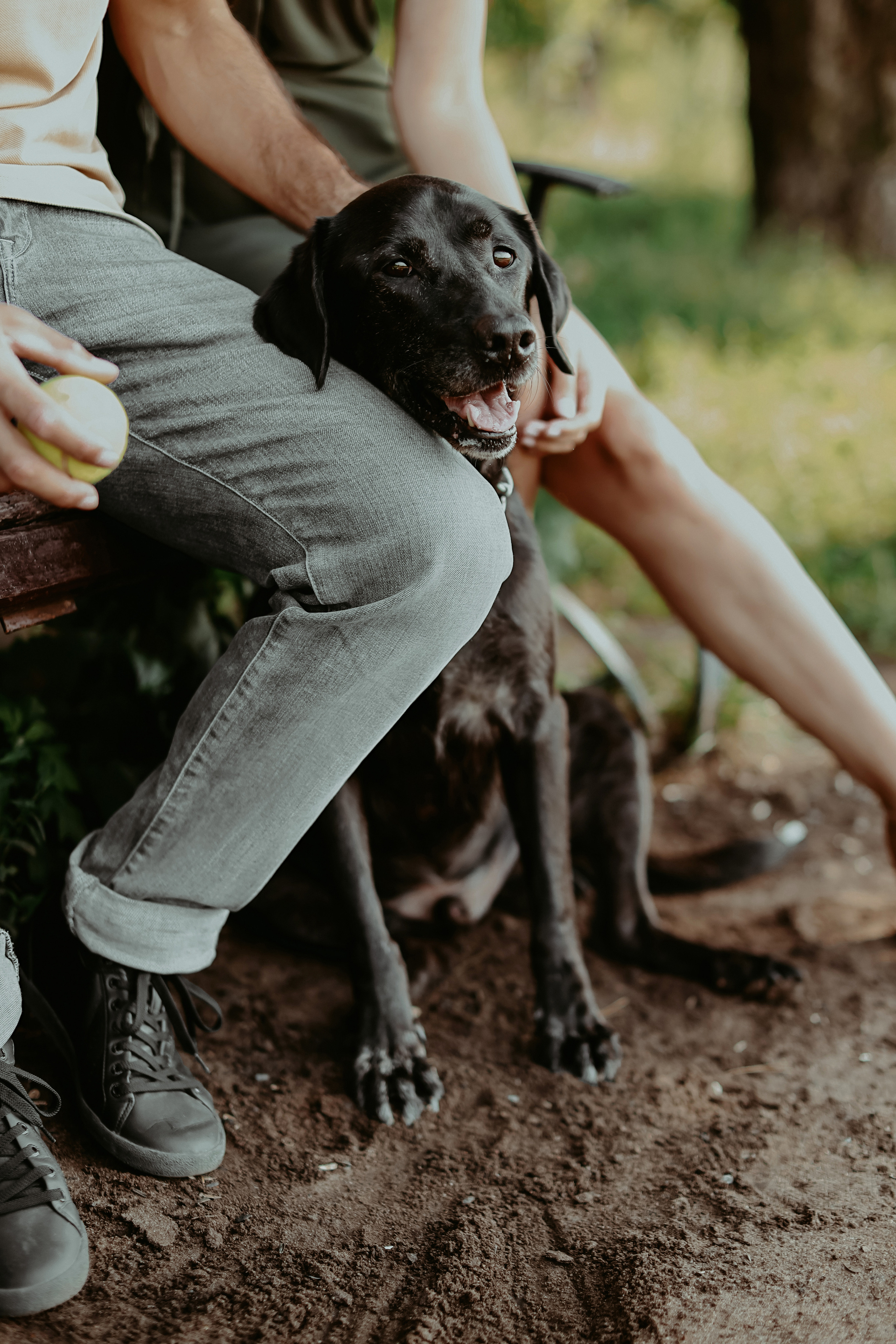 Дастин-верный друг. Фотограф Виктория Плотницкая