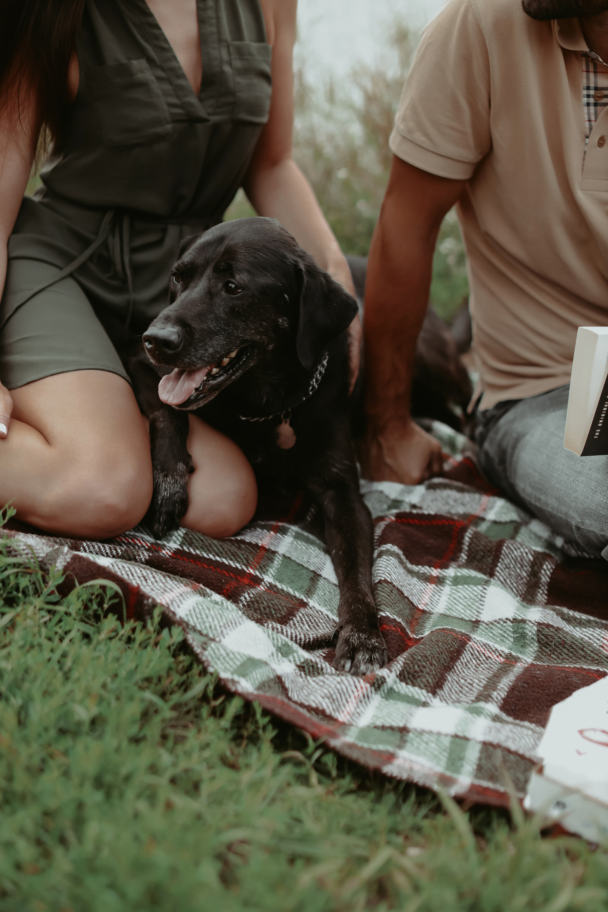 Дастин-верный друг. Фотограф Виктория Плотницкая