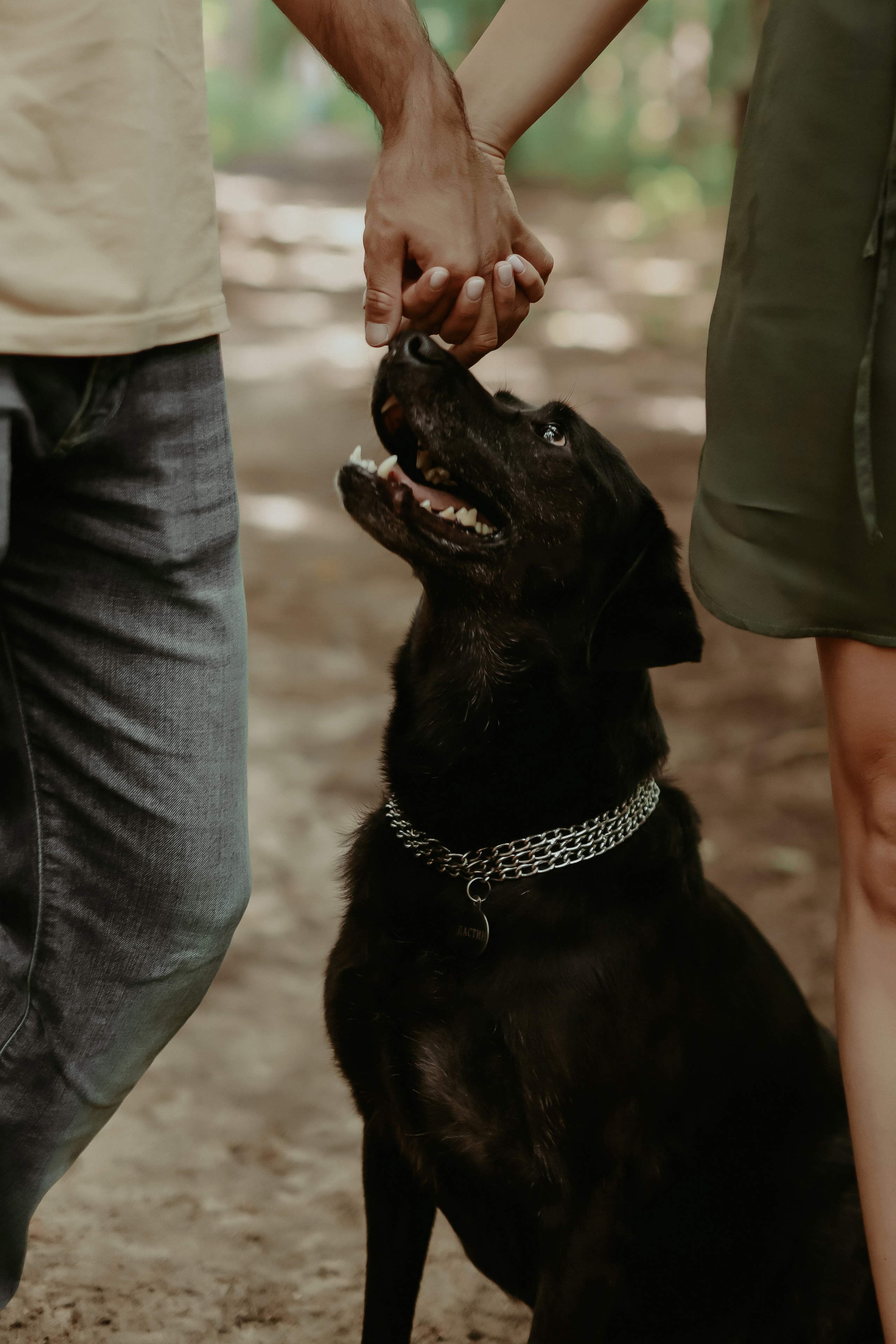 Дастин-верный друг. Фотограф Виктория Плотницкая