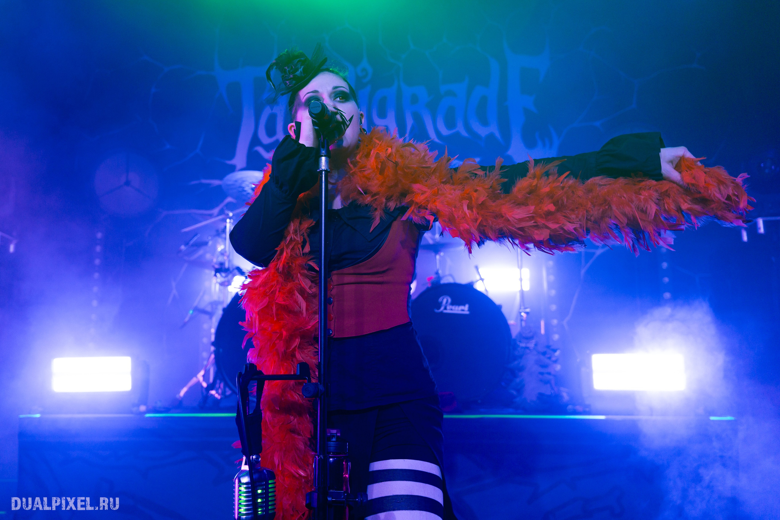 TARDIGRADE INFERNO. Магия музыки в кадре: Концертная Фотография