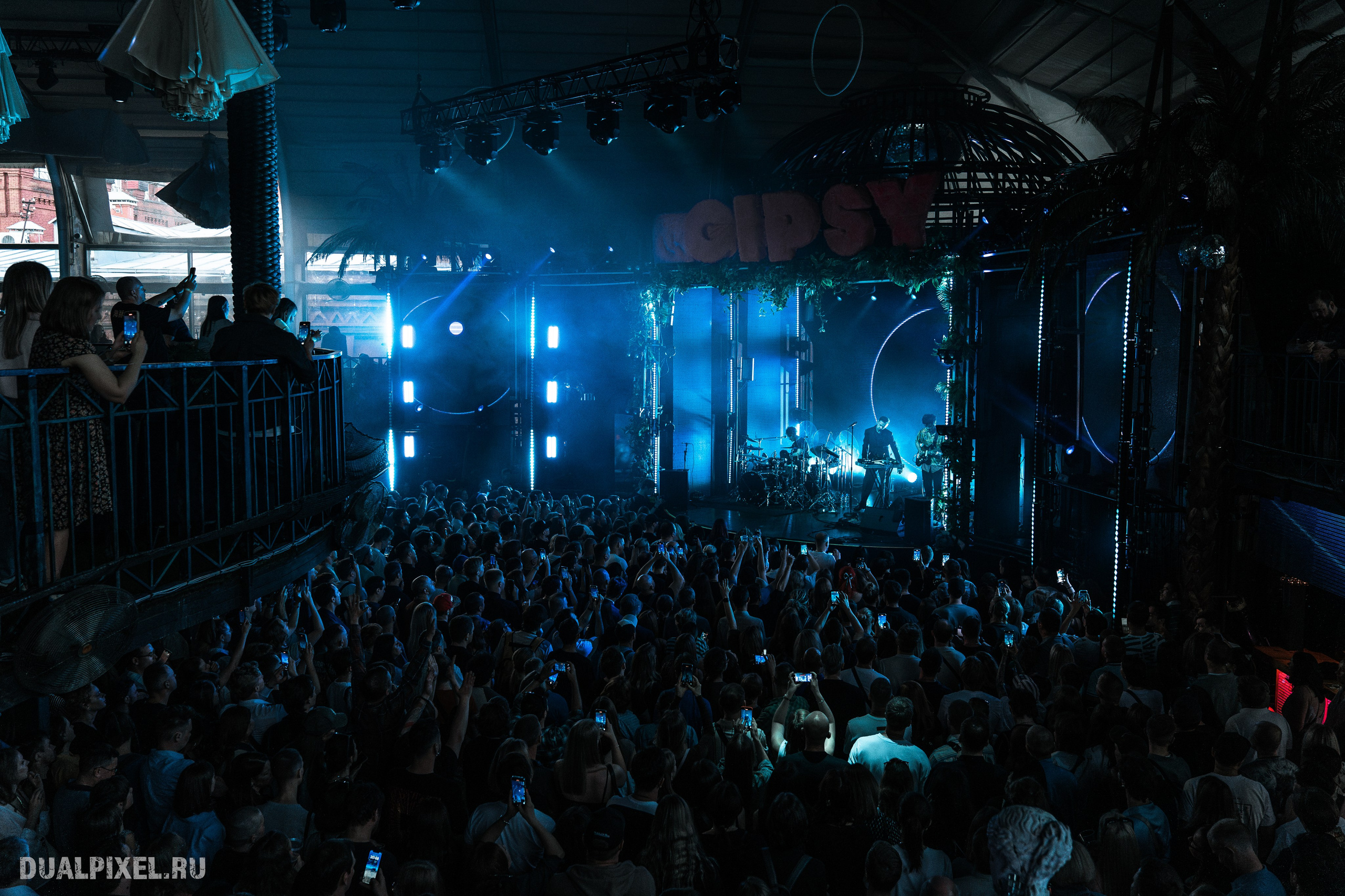 Дельфин. Магия музыки в кадре: Концертная Фотография