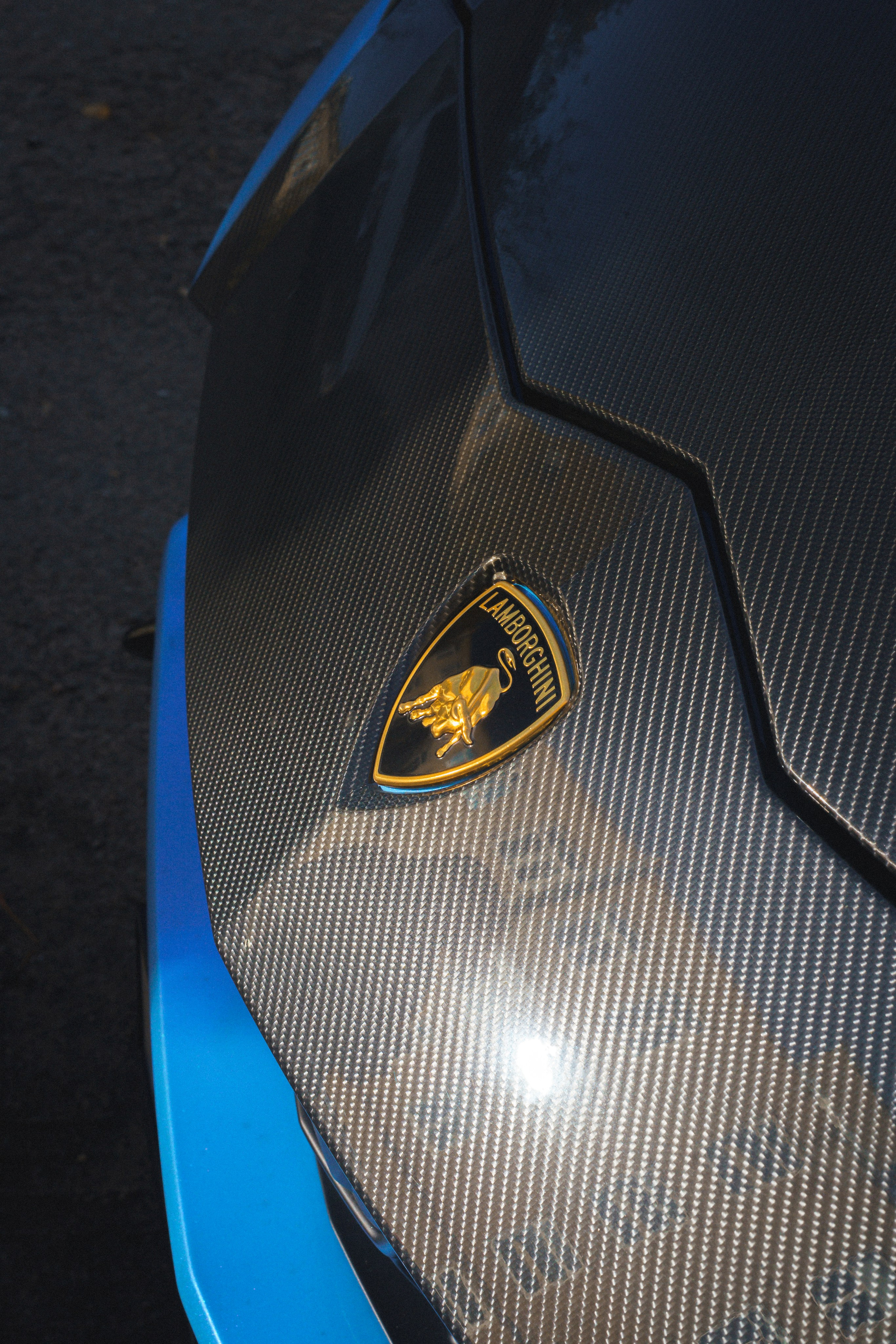 Романа Ляпин — Ferrari F12berlinetta и Lamborghini URUS