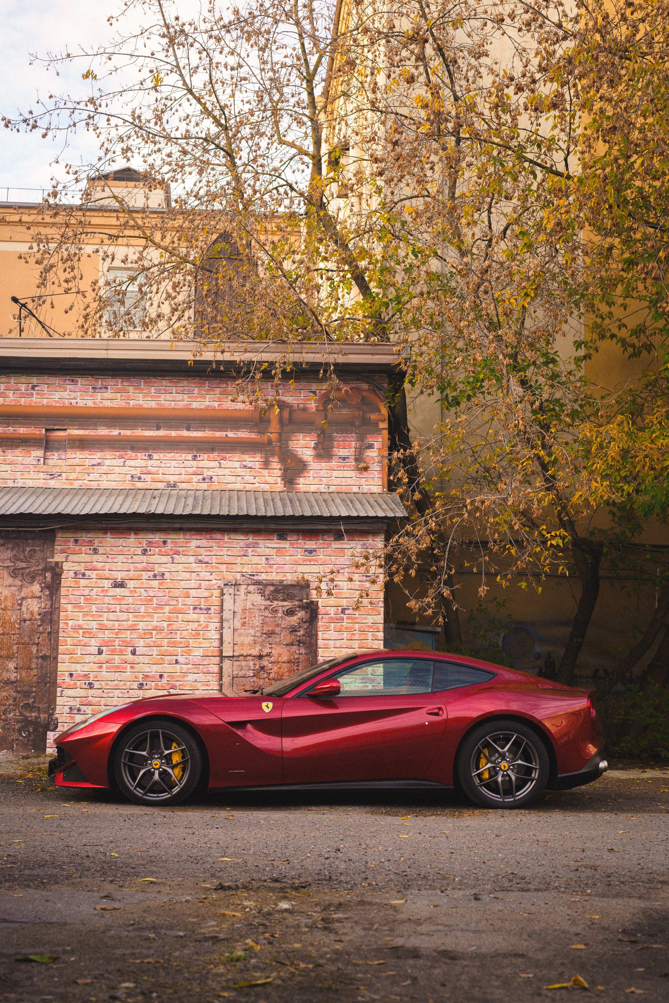 Романа Ляпин — Ferrari F12berlinetta и Lamborghini URUS