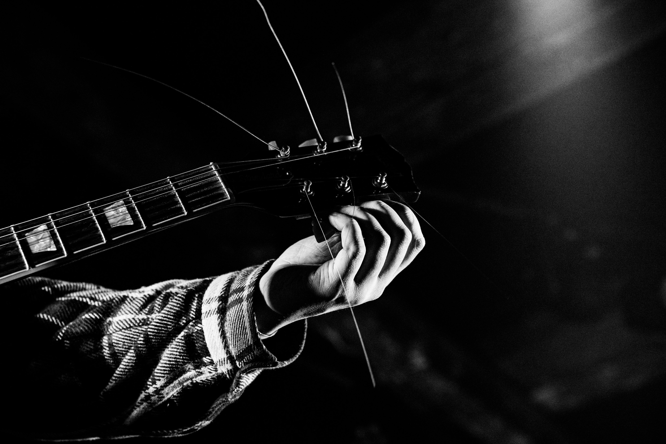 Lesnik • ШШШ • Laugar • DØRER|Zoccolo 2.0. Концертный и репортажный фотограф в Санкт-Петербурге Слава Пахомов