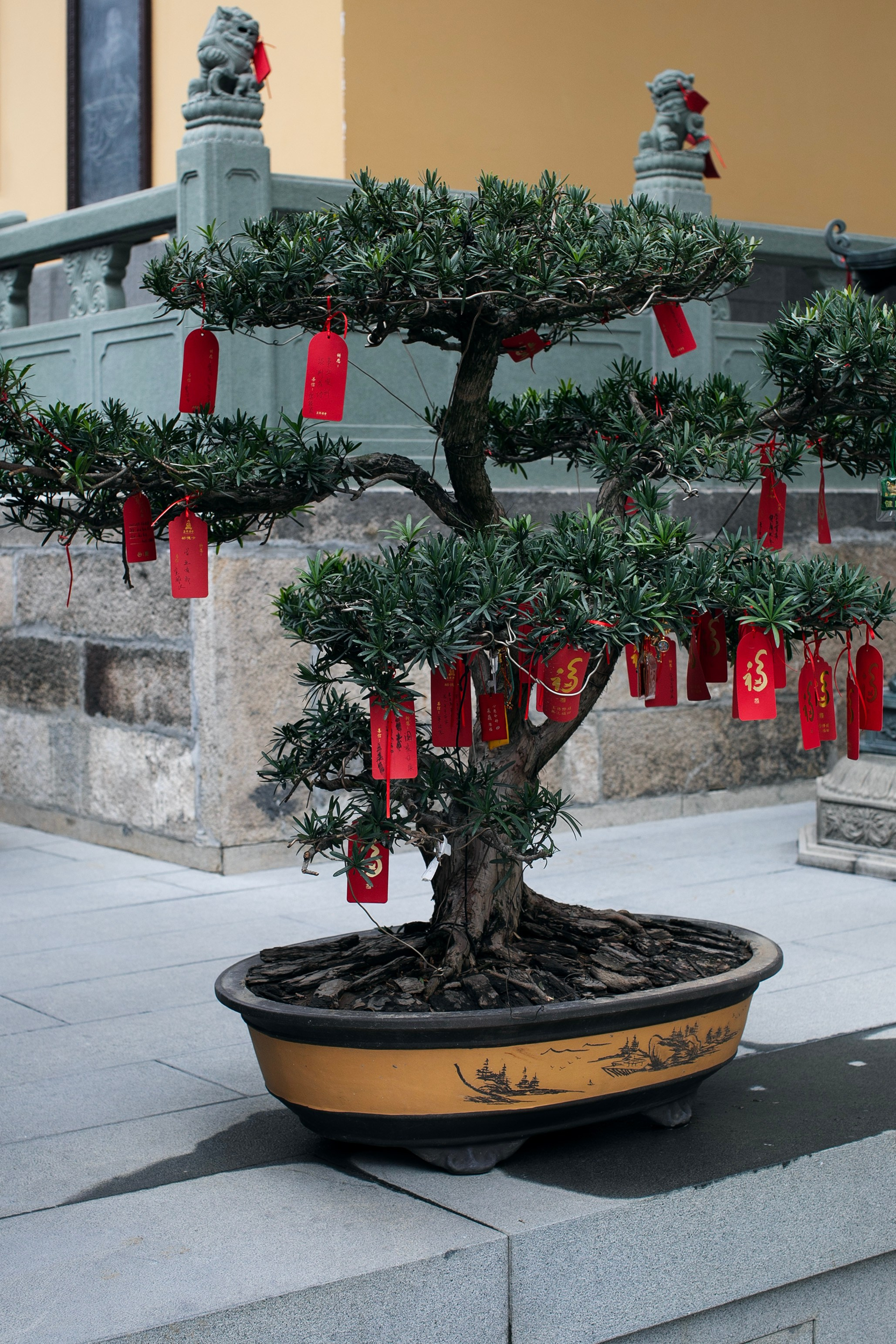 Китай'25: Пекин-Сиань-Шанхай. Фотограф-портретист в Москве