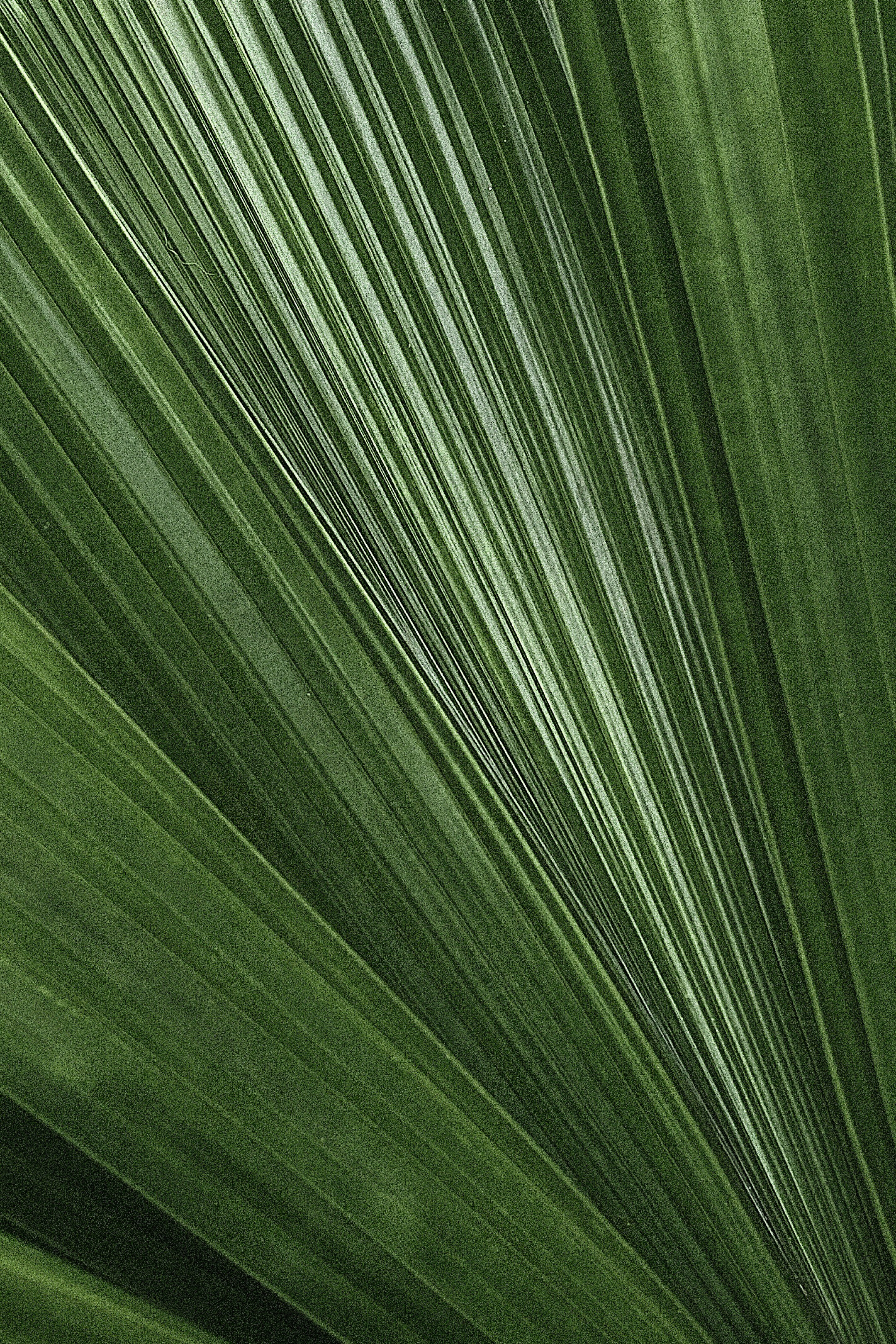 Ksusha. Photographer Elizaveta Samokrutova