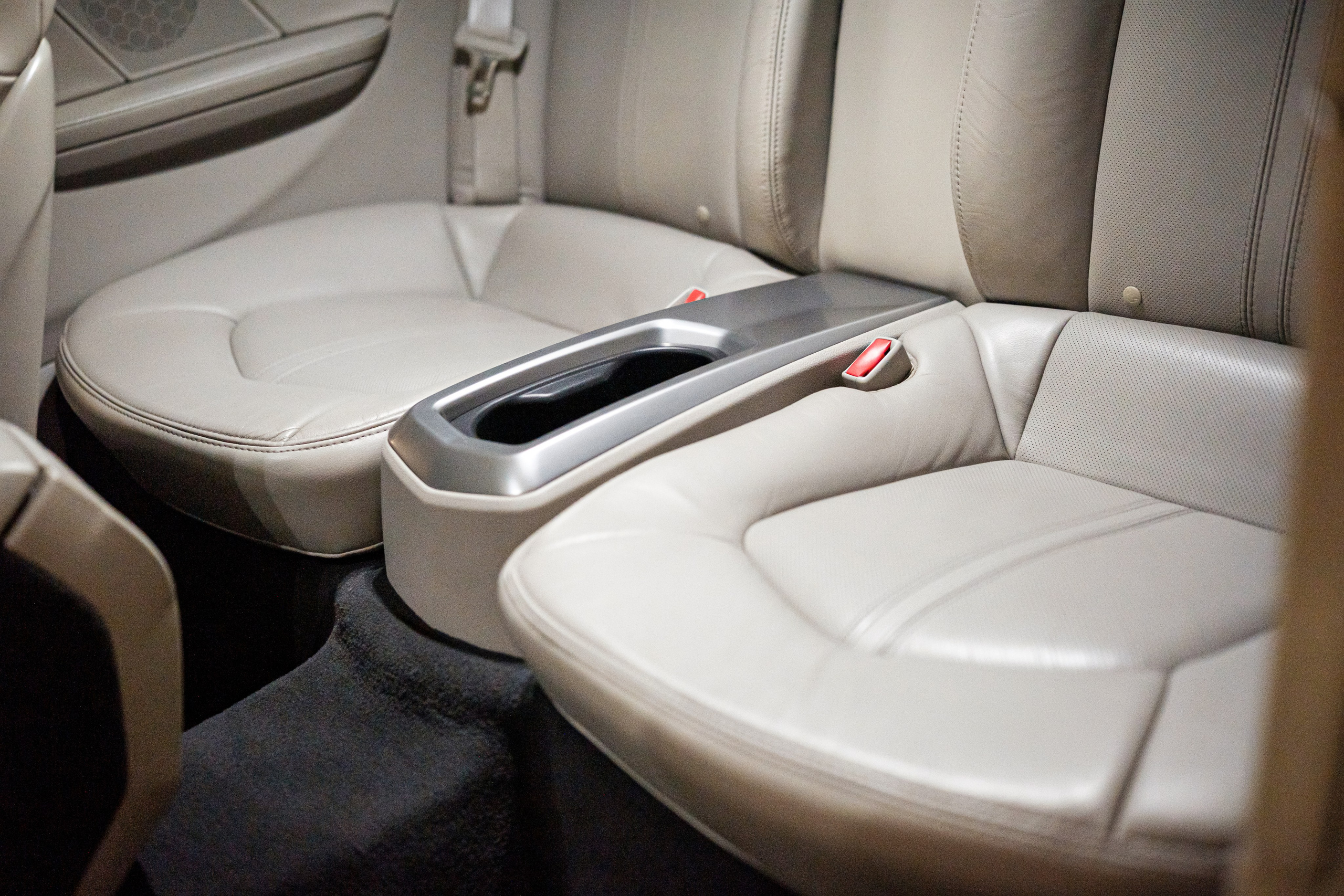 Кэдди. Алексей Никифоров фотограф Москва, Химки