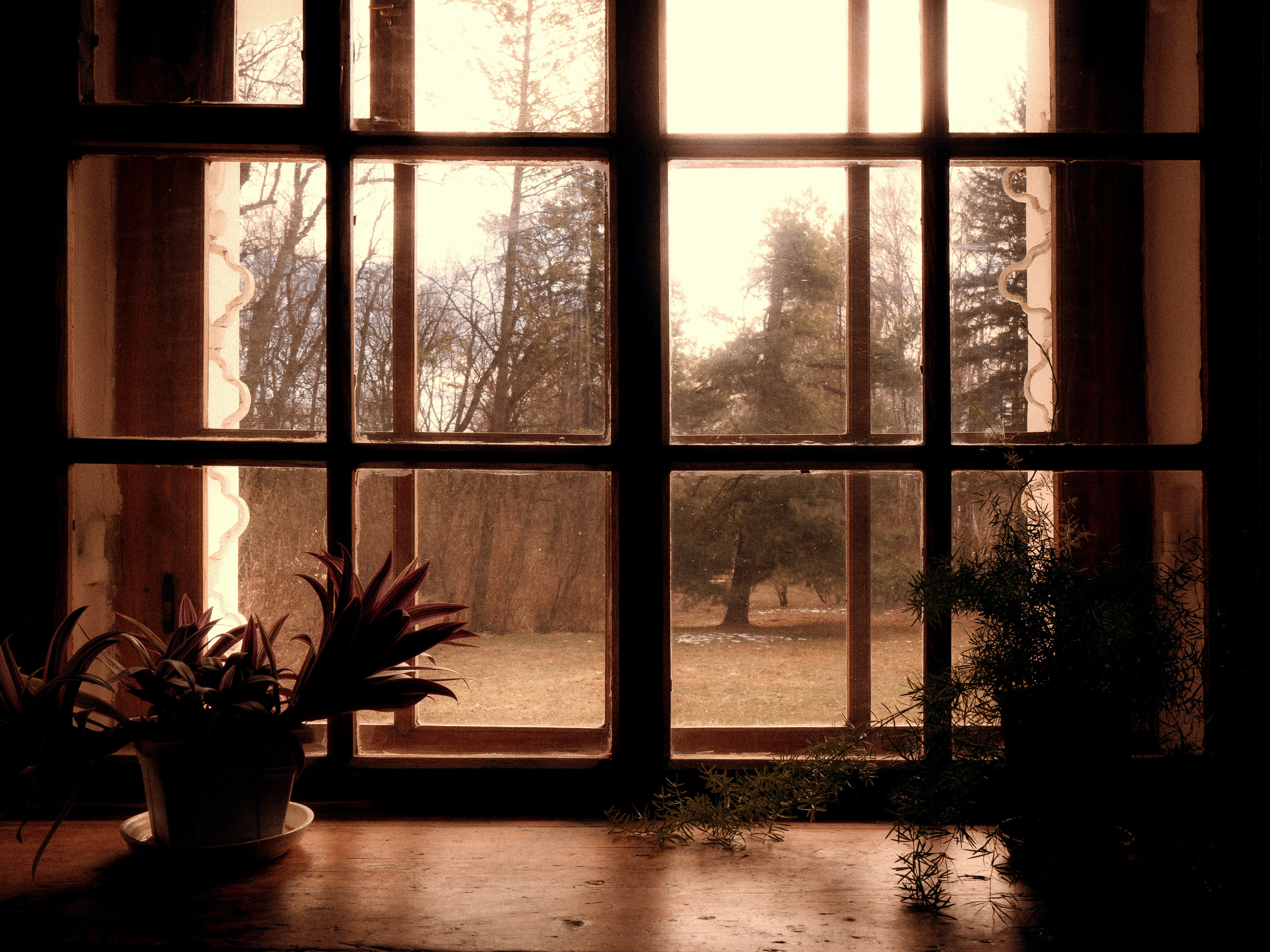 Тула '25. Фёдор Малюгин. Ваш бади в визуале