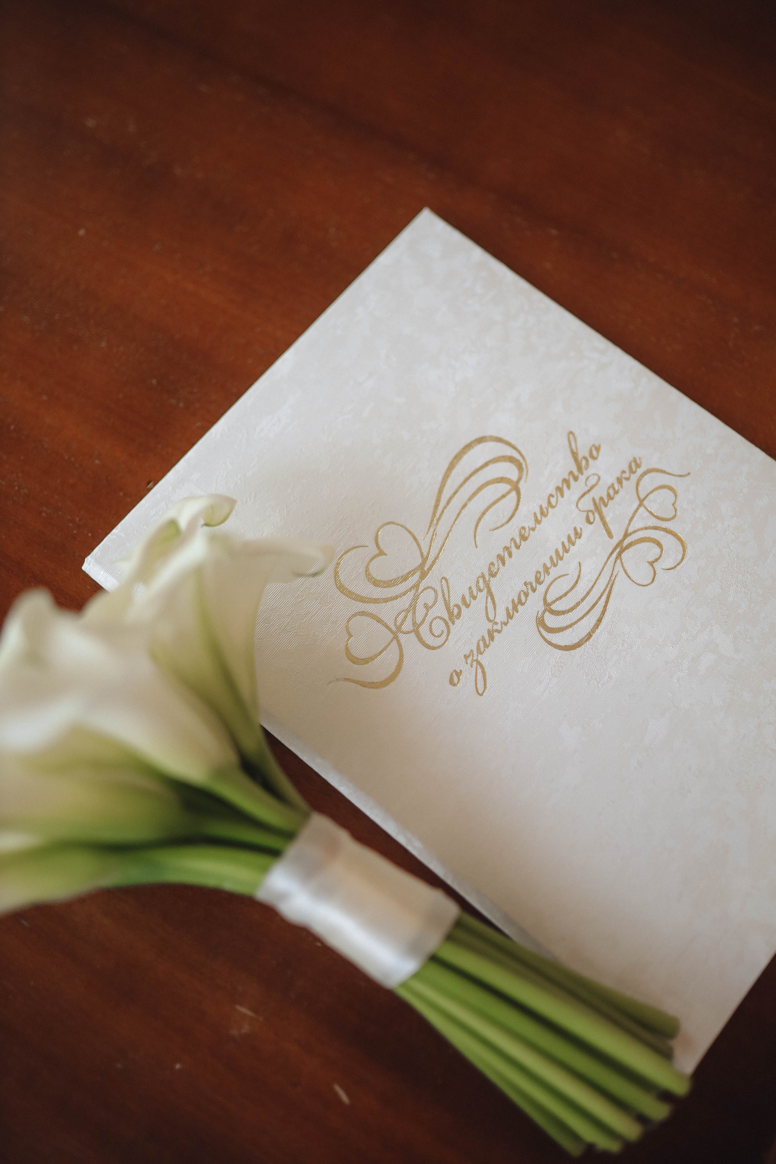 Арьян и Елизавета. Фотограф во Владимире Яна Чубич