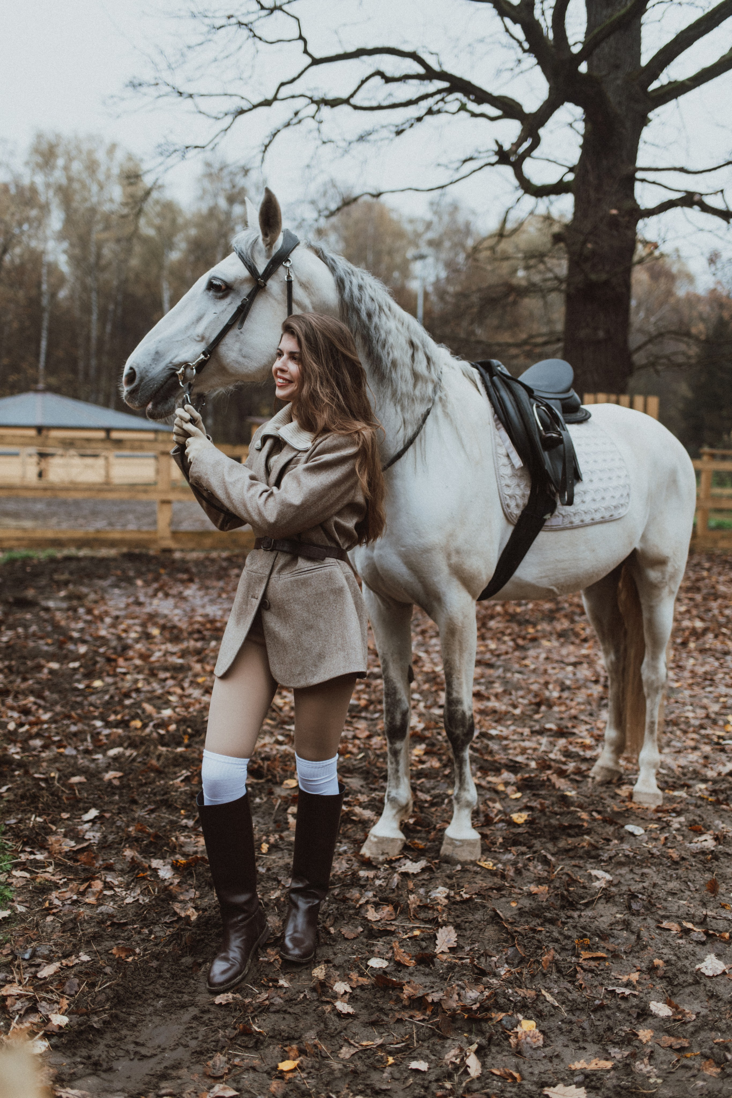 «Осенний ветер и грациозный скакун». Фотограф в Москве/Зарайске Шахова Марина