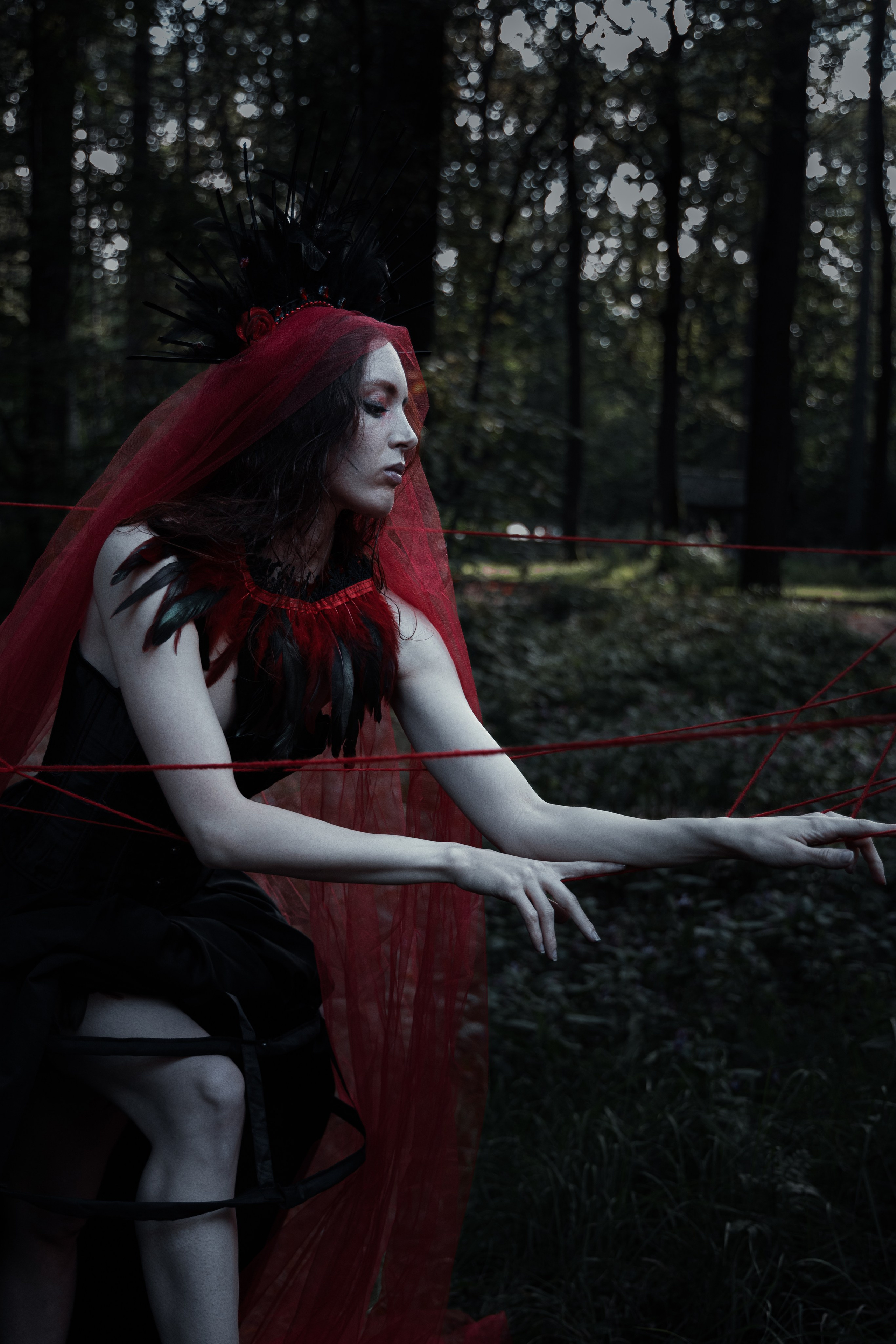 Портфолио. Фотограф в Москве Ковальчук Елена