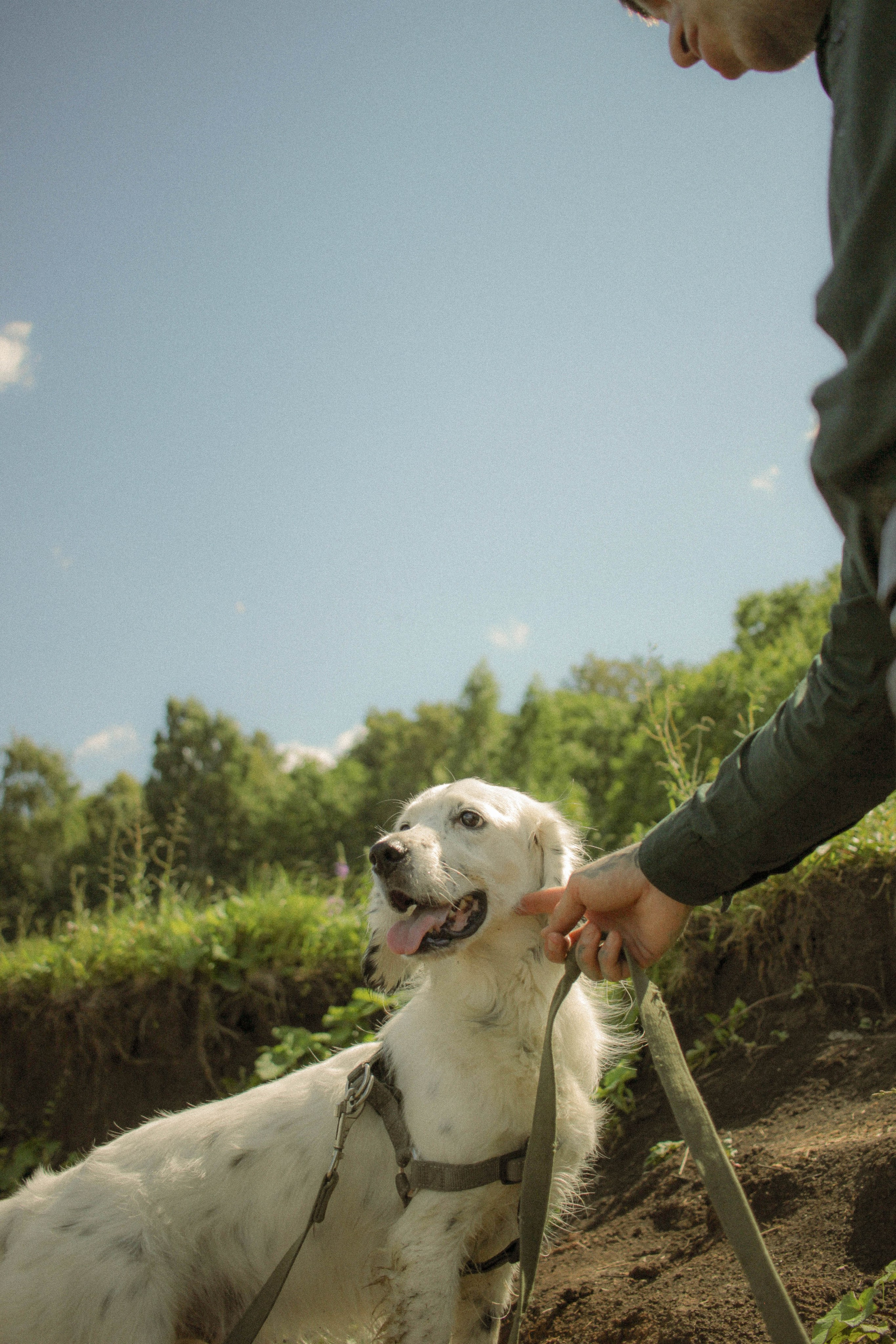 Yura and LosK. Фотограф в Казани / Регина Суфиянова