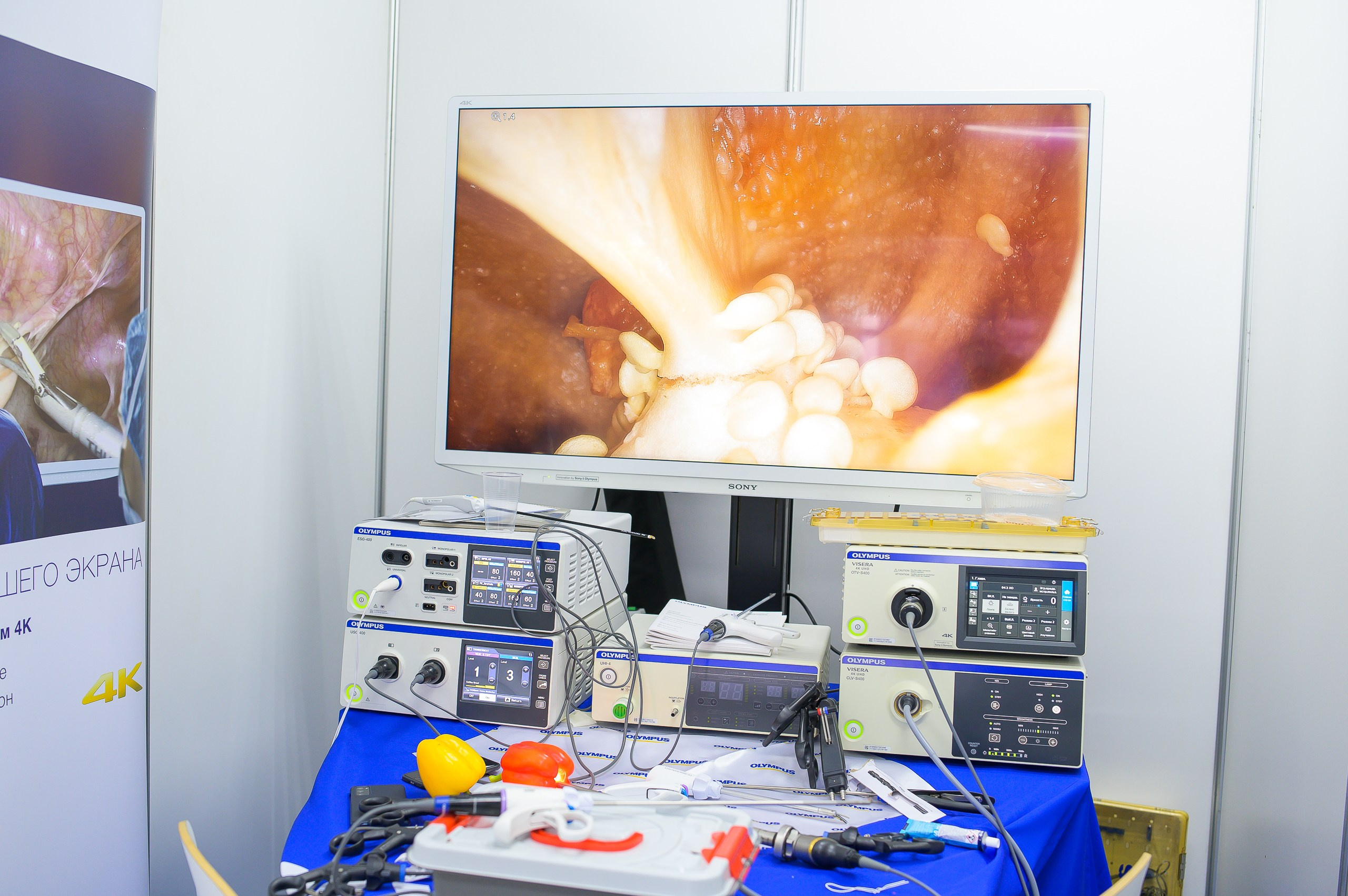 VIII Съезд хирургов Сибирского Федерального округа. Фотограф в Кемерово Владислав Шульц