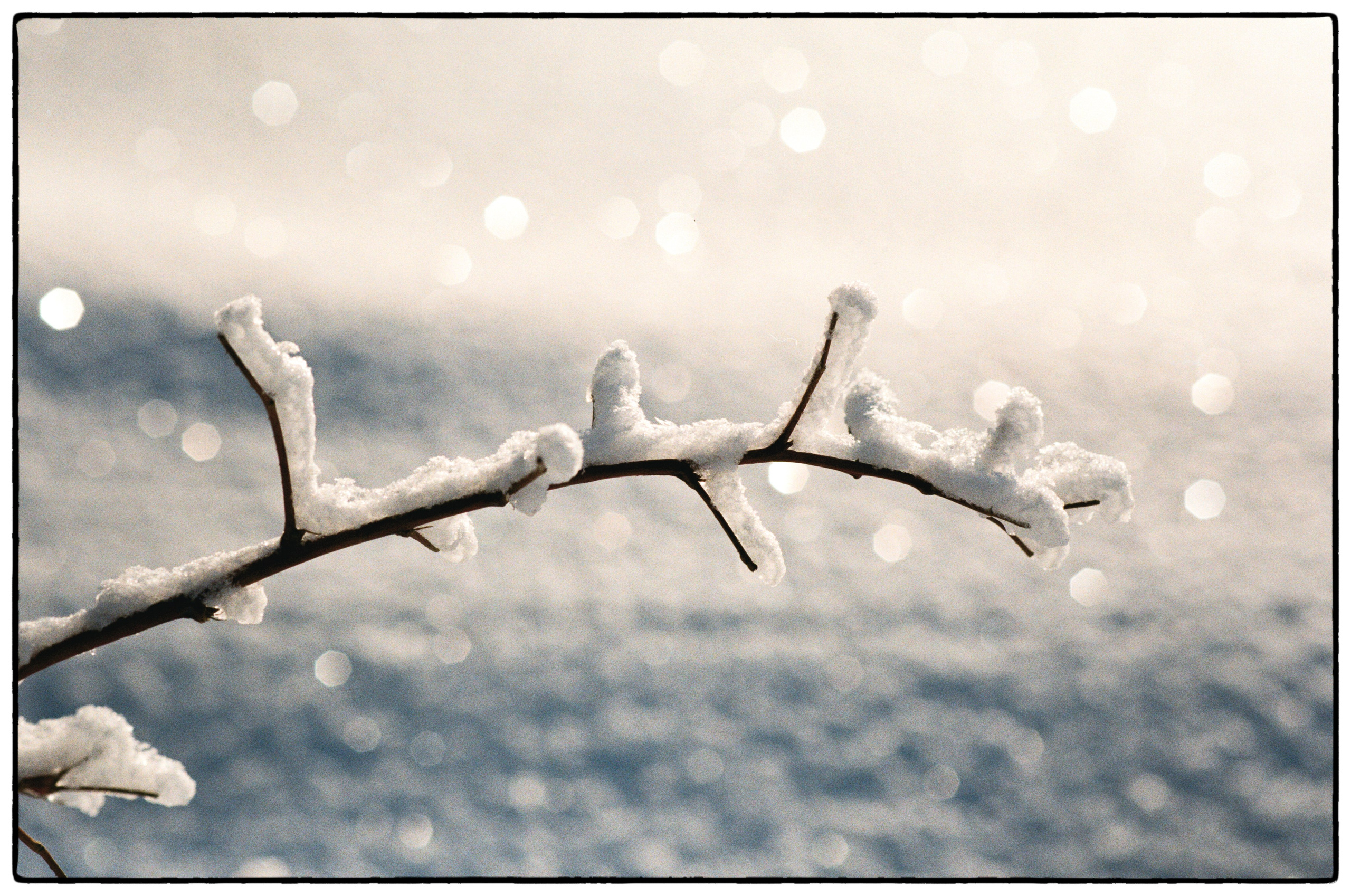 Зимнее. Фотограф Филякин Константин