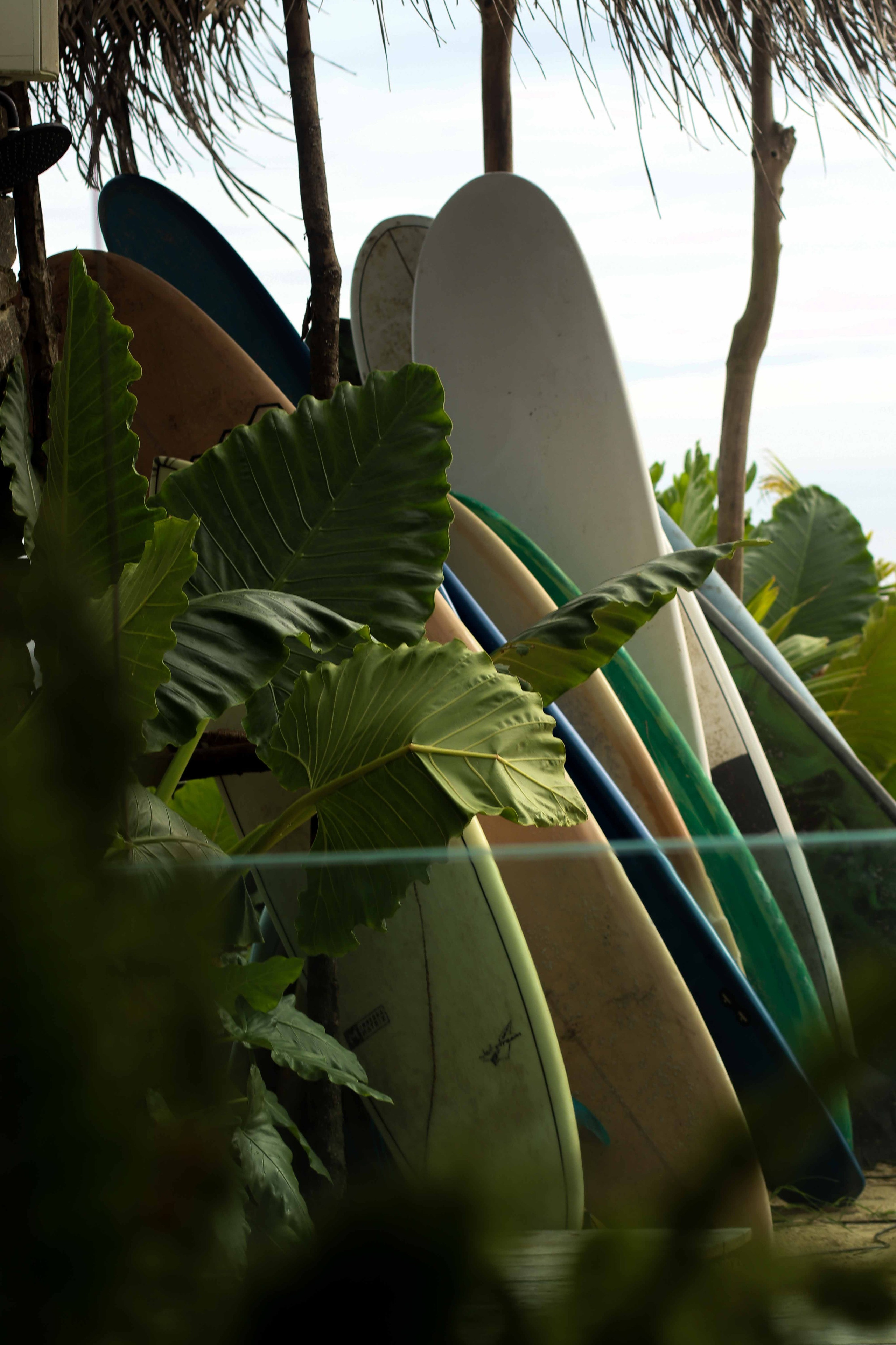 Ресторан пляж Ахангама. Фотограф на Шри-Ланке