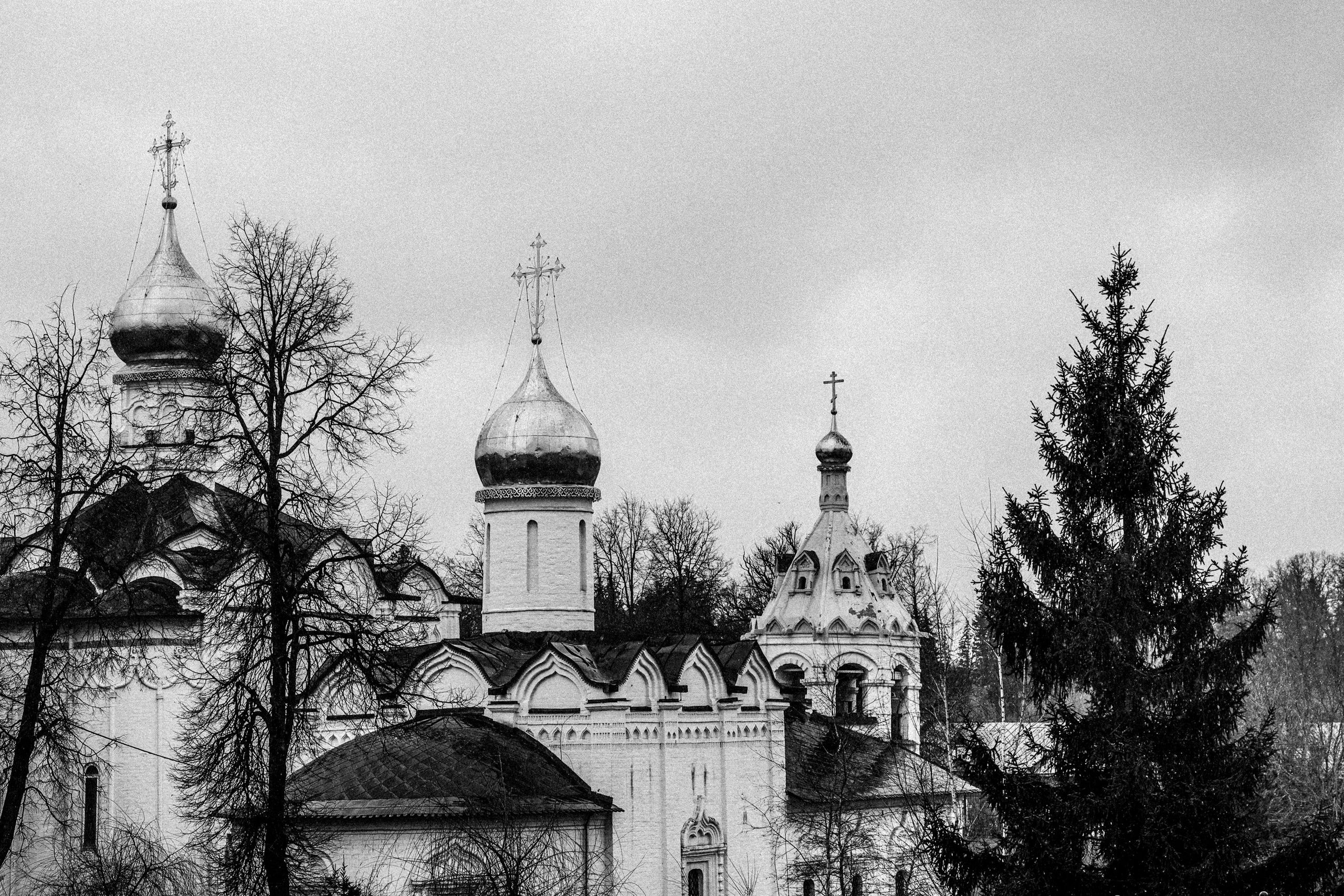 Весна 2026 ЧБ. Фотограф в Москве — Рина Серёгина