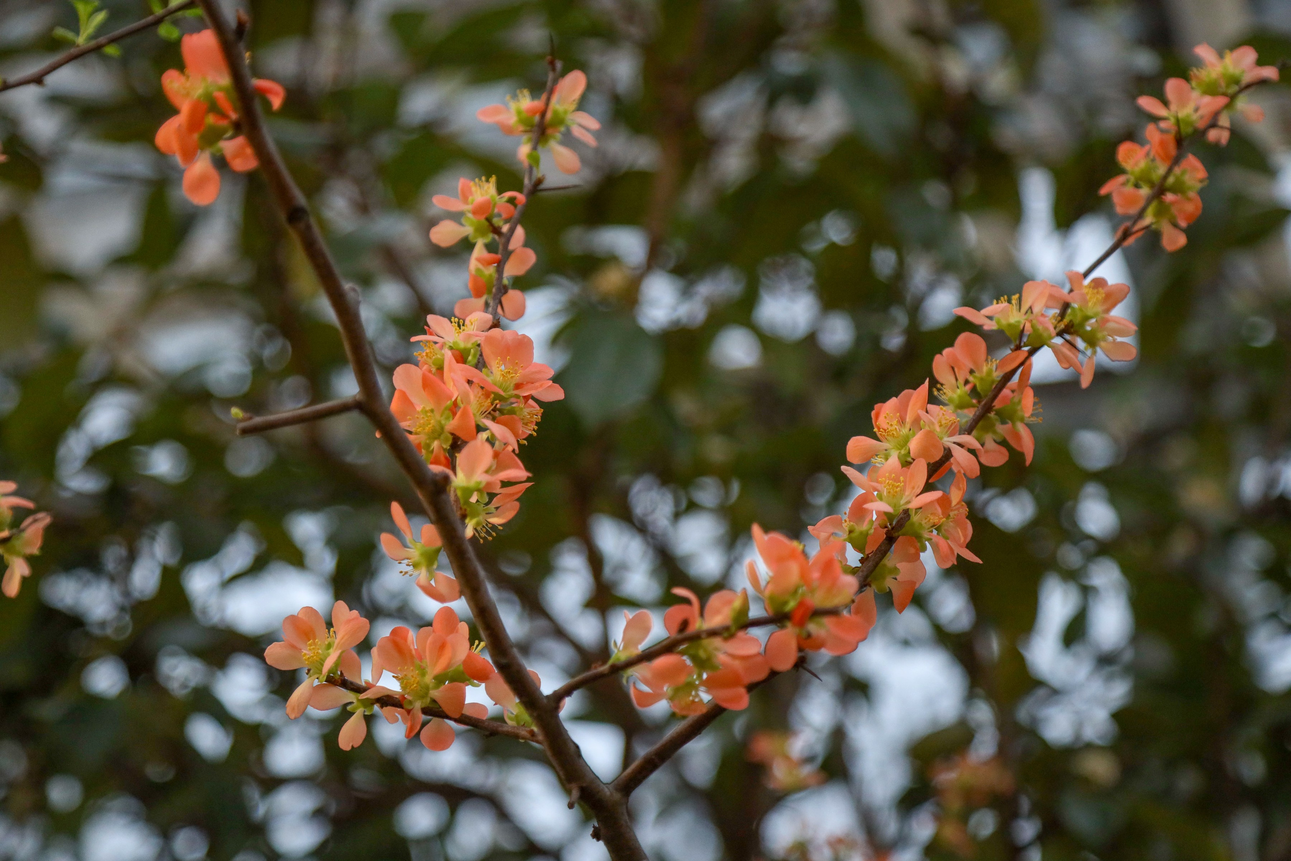 Фотографии с выставки Репетиция весны. Фотосессии и репортаж — Фотограф в Москве — Рина Серёгина