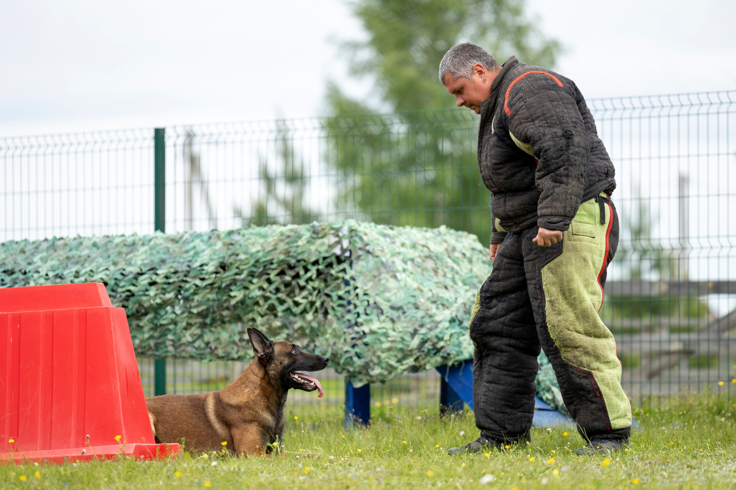 Испытания по мондьорингу в Нижнем Новгороде. Фотограф-анималист Анна Маринич