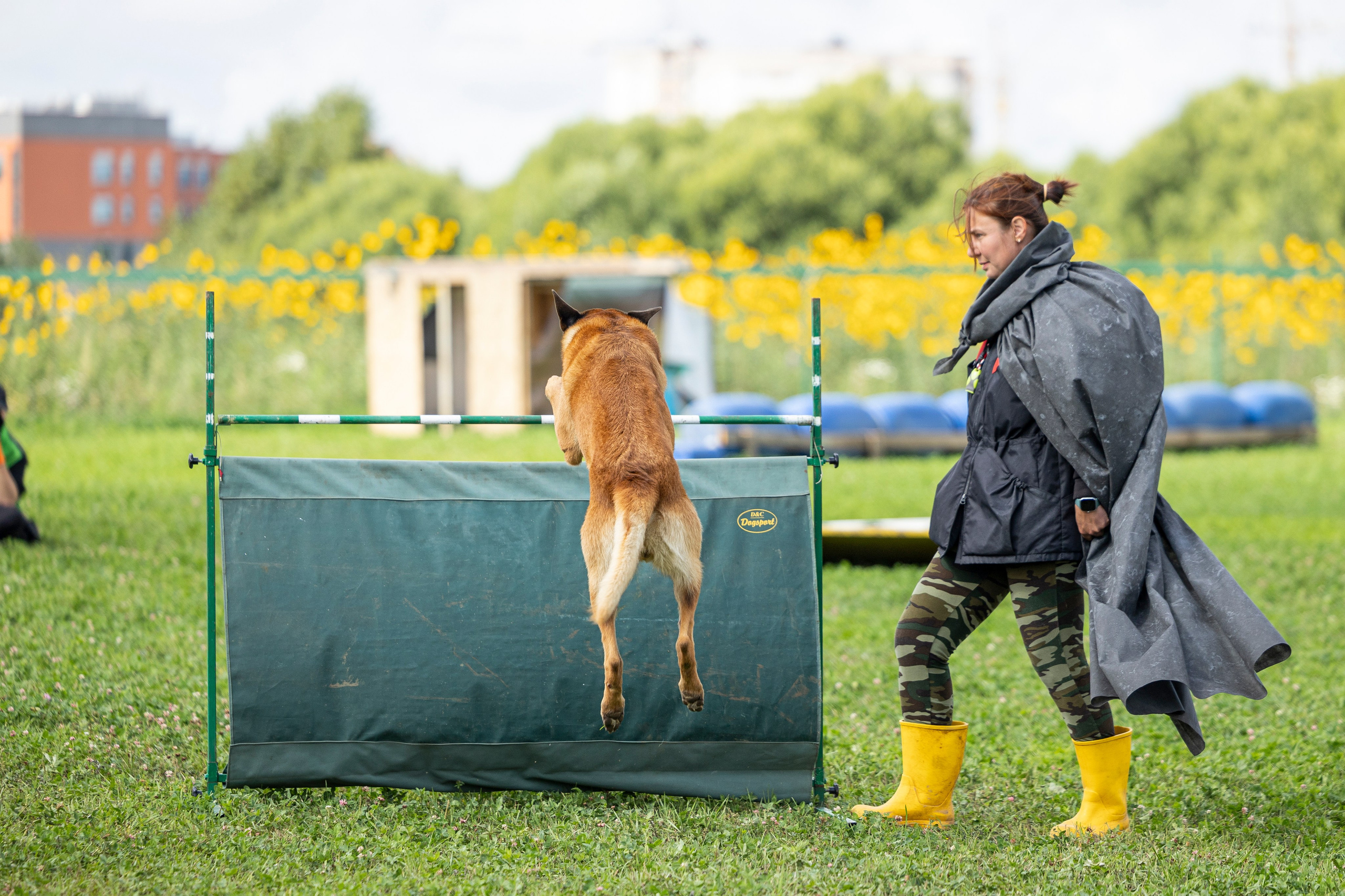 Соревнования по Мондьорингу г. Вологда 10-11.08.2024. Фотограф-анималист Анна Маринич