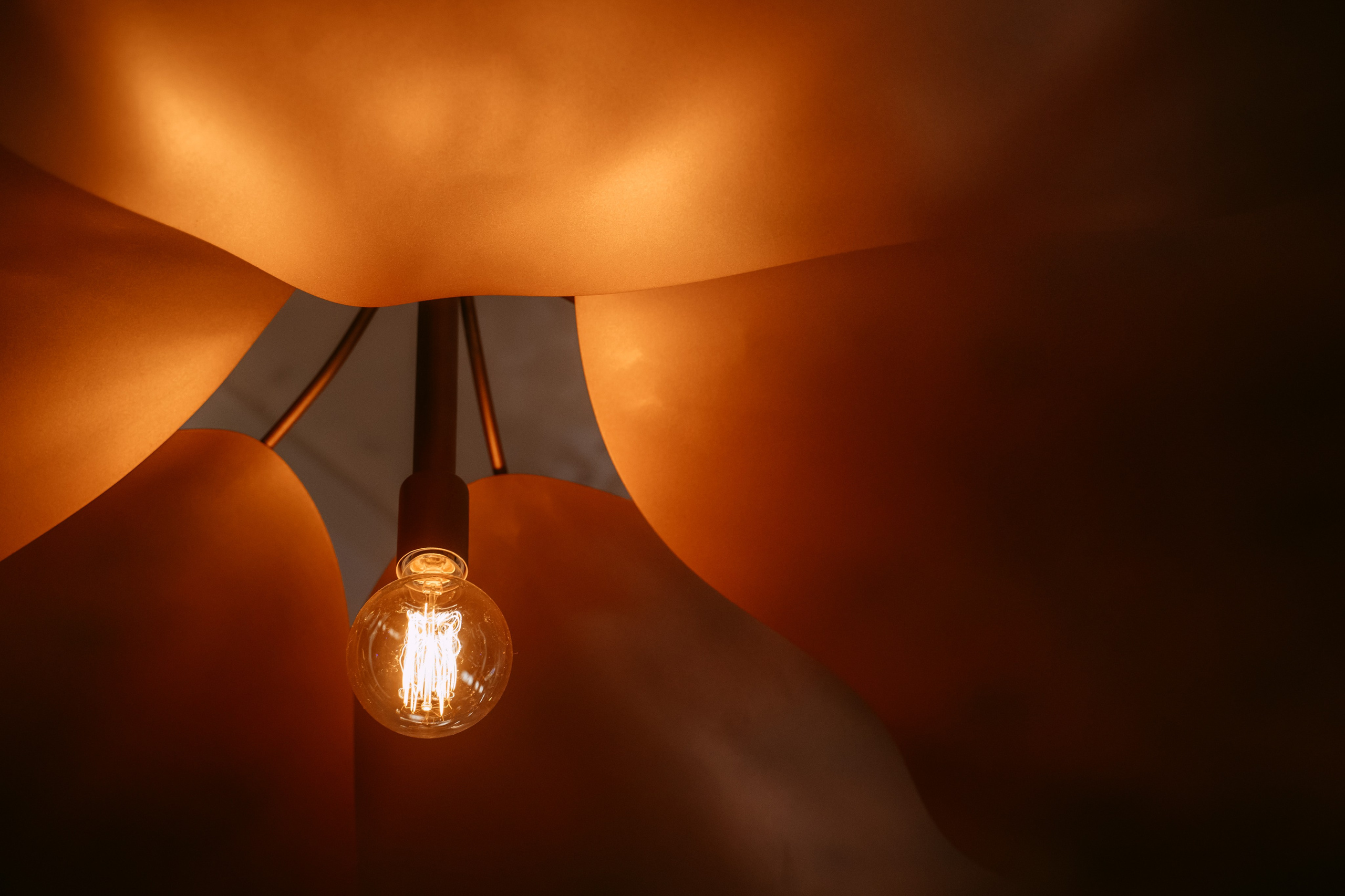 Avocado Queen / сеть ресторанов в Москве и Казани. Саша Копылов, фотограф в Казани