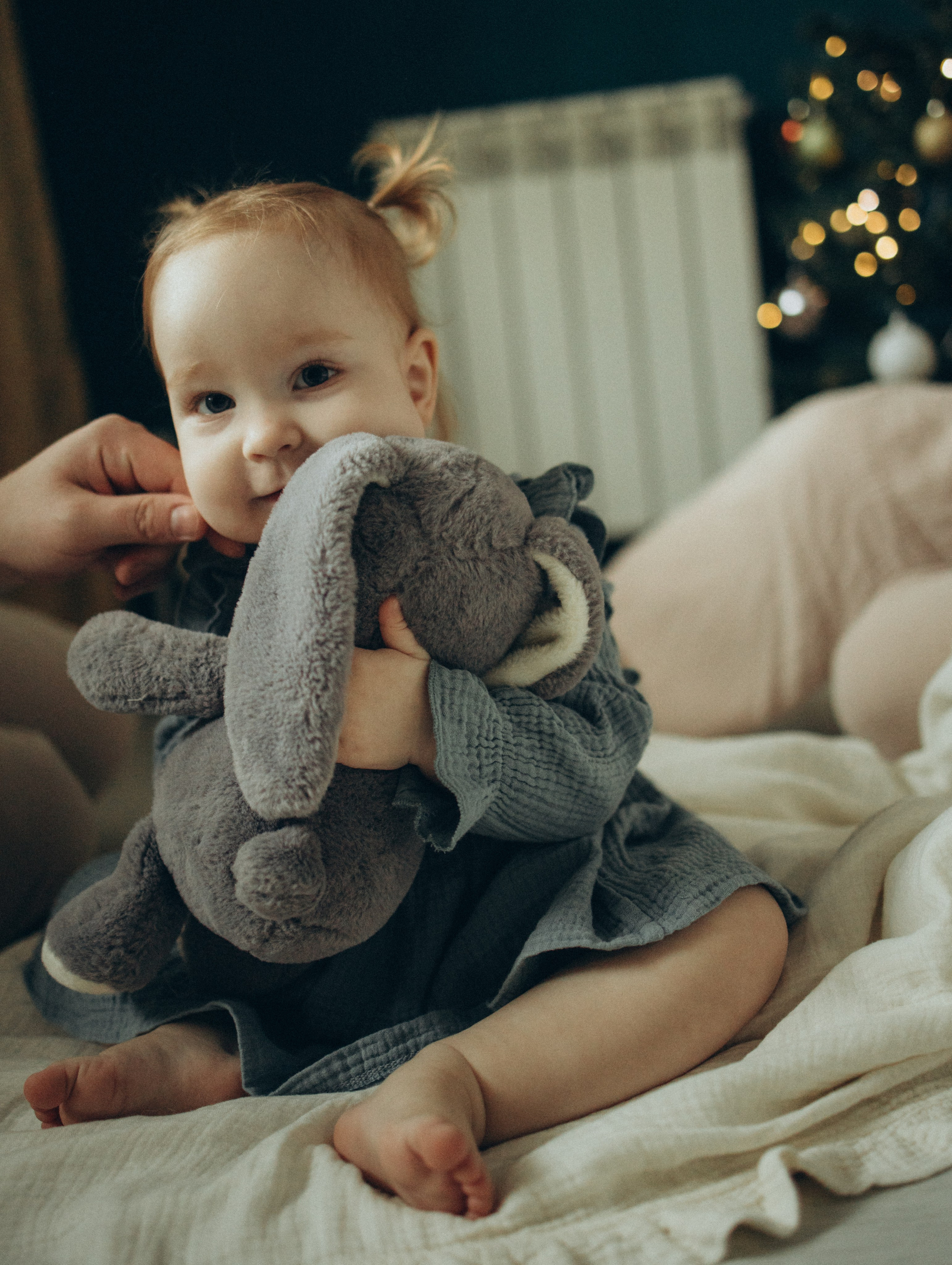 Домашняя семейная съемка под Новый год. Фотограф Углич и Ярославль Ольга Тятюшкина