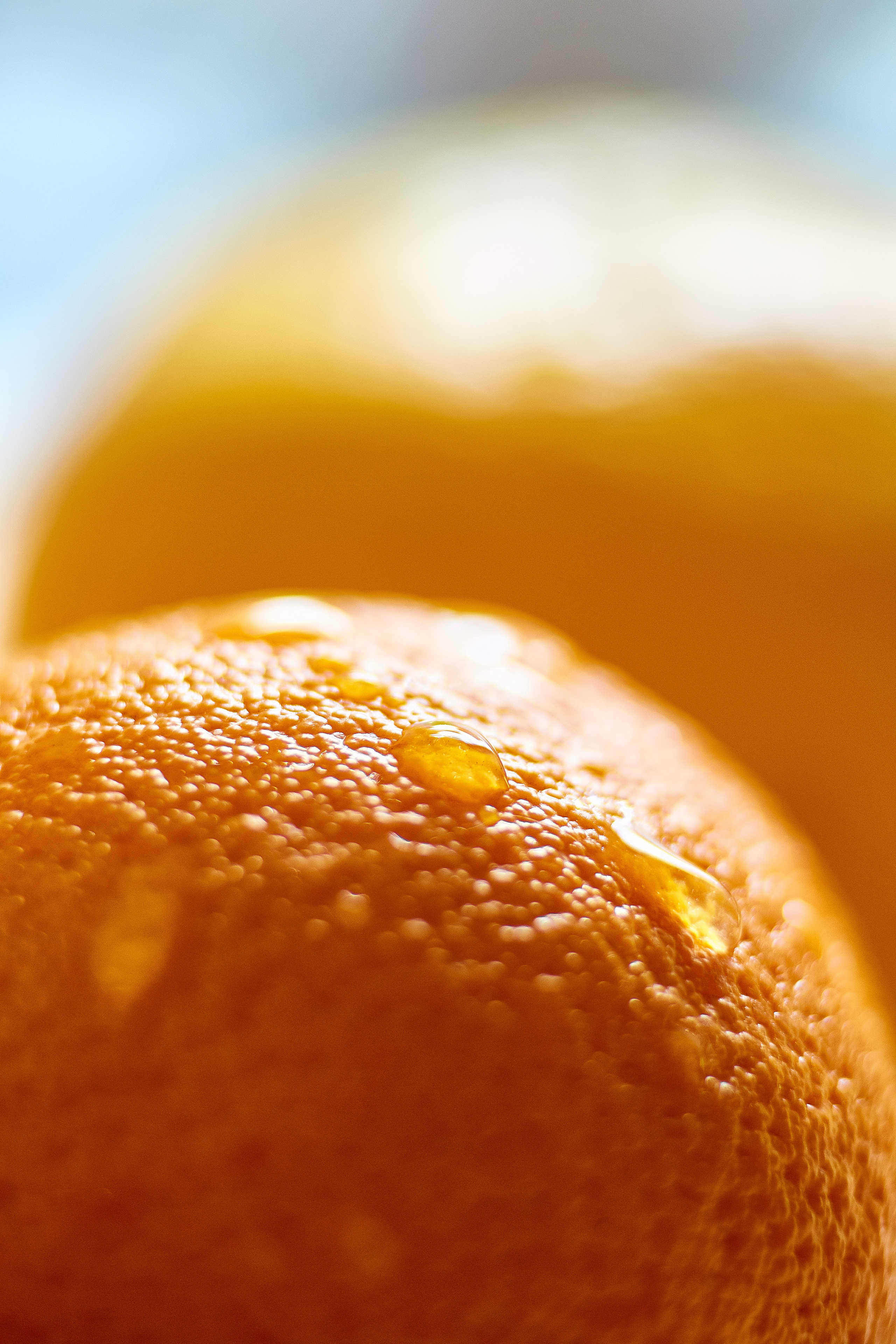 Кафе «КофеFresh». Telesh media production