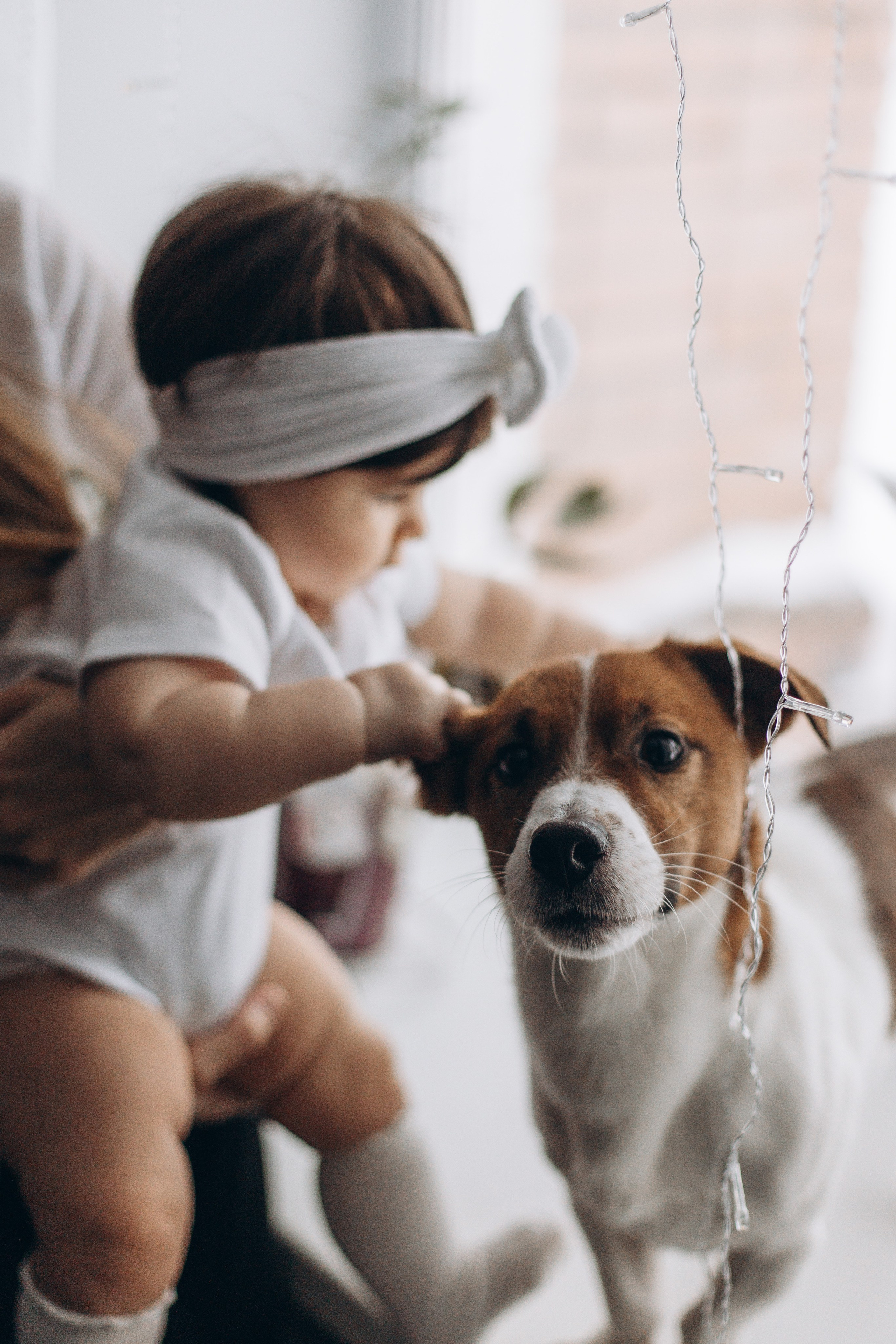 Джой и его семья. Фотограф — Анималист | Санкт-Петербург