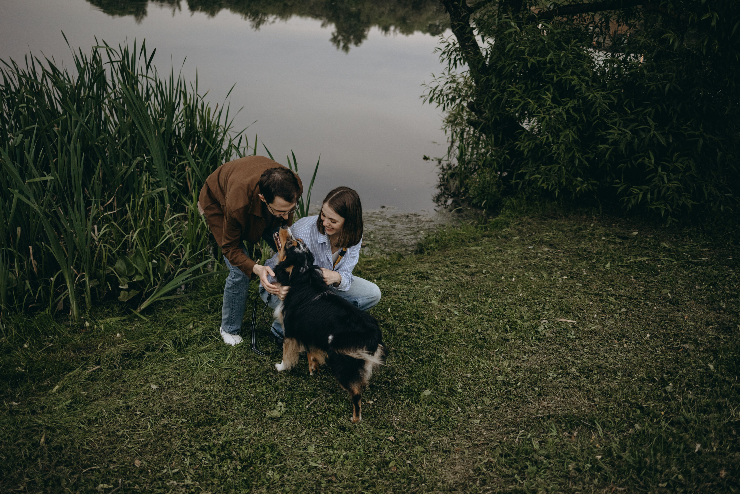 Настя, Никита и их Гром и Мяу. Фотограф — Анималист | Санкт-Петербург