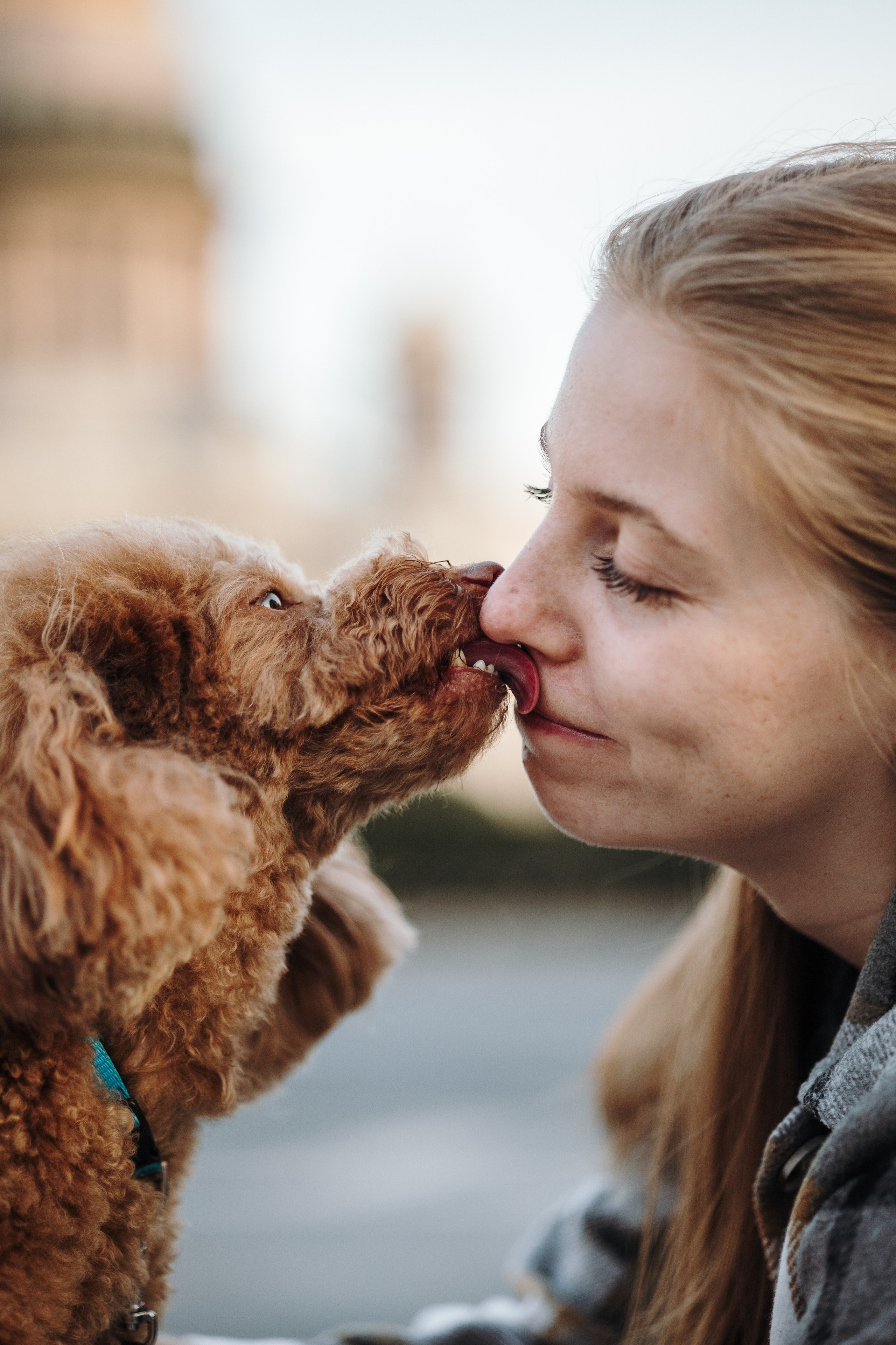 Барни и его семья. Фотограф — Анималист | Санкт-Петербург
