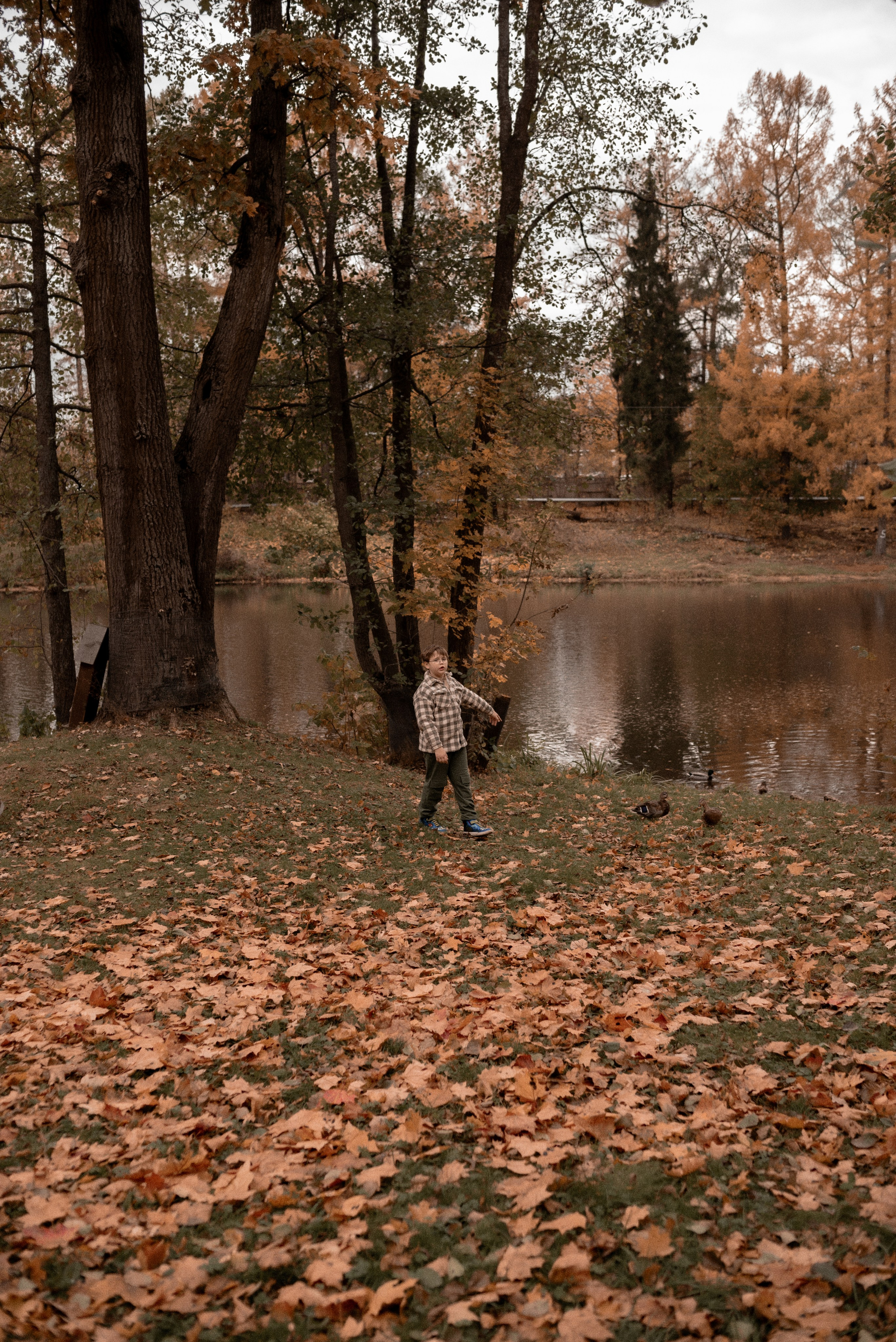 Семья. Свадебный и семейный фотограф в Серпухове Александра Дерюшева