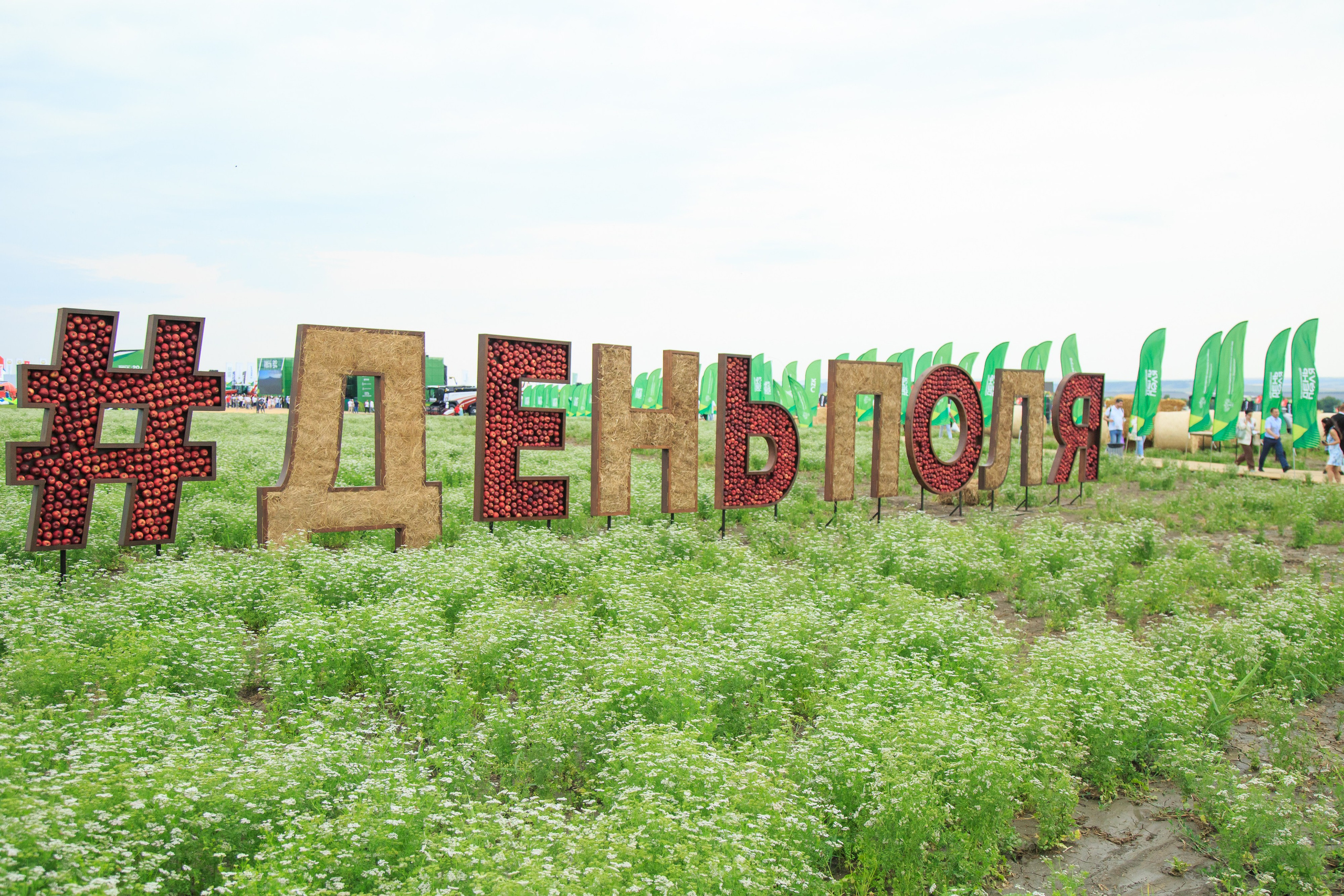 Репортажный фотограф. Репортажная фотосъёмка Минеральные Воды, Пятигорск, Кисловодск, Ставрополь. Репортажный и свадебный фотограф Пятигорск и КМВ