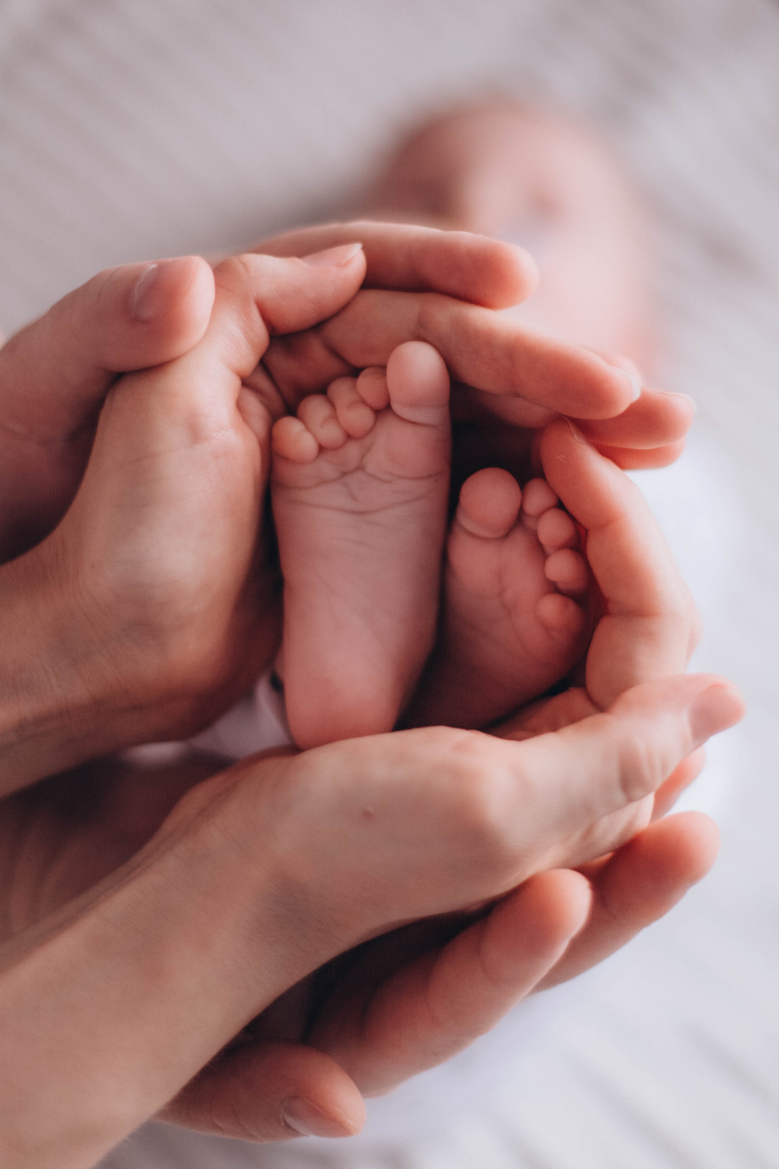 Даня. Семейная фотография в Санкт-Петербурге Елизавета Шепель