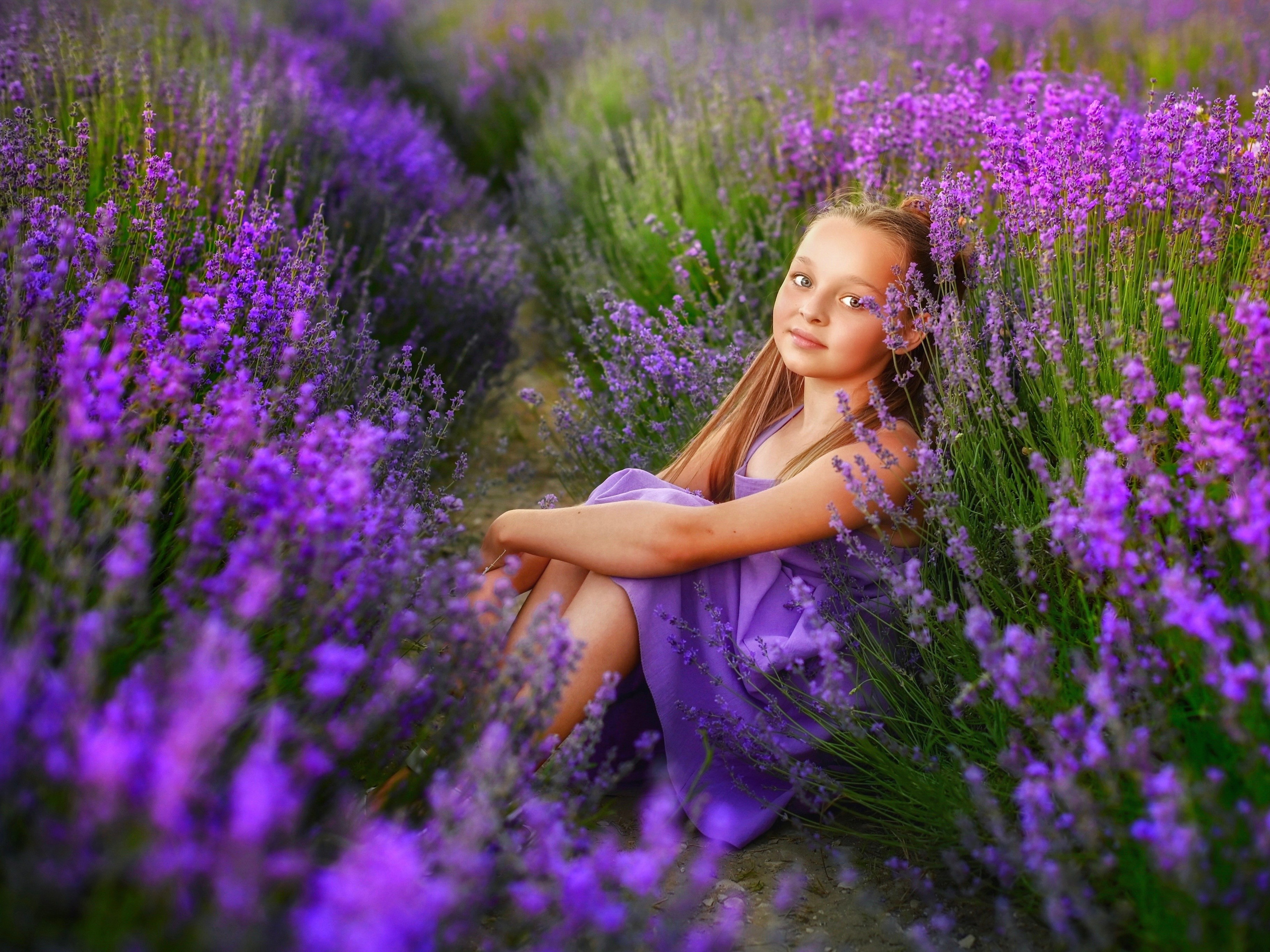 Лаванда. Семейный и детский фотограф Анапа