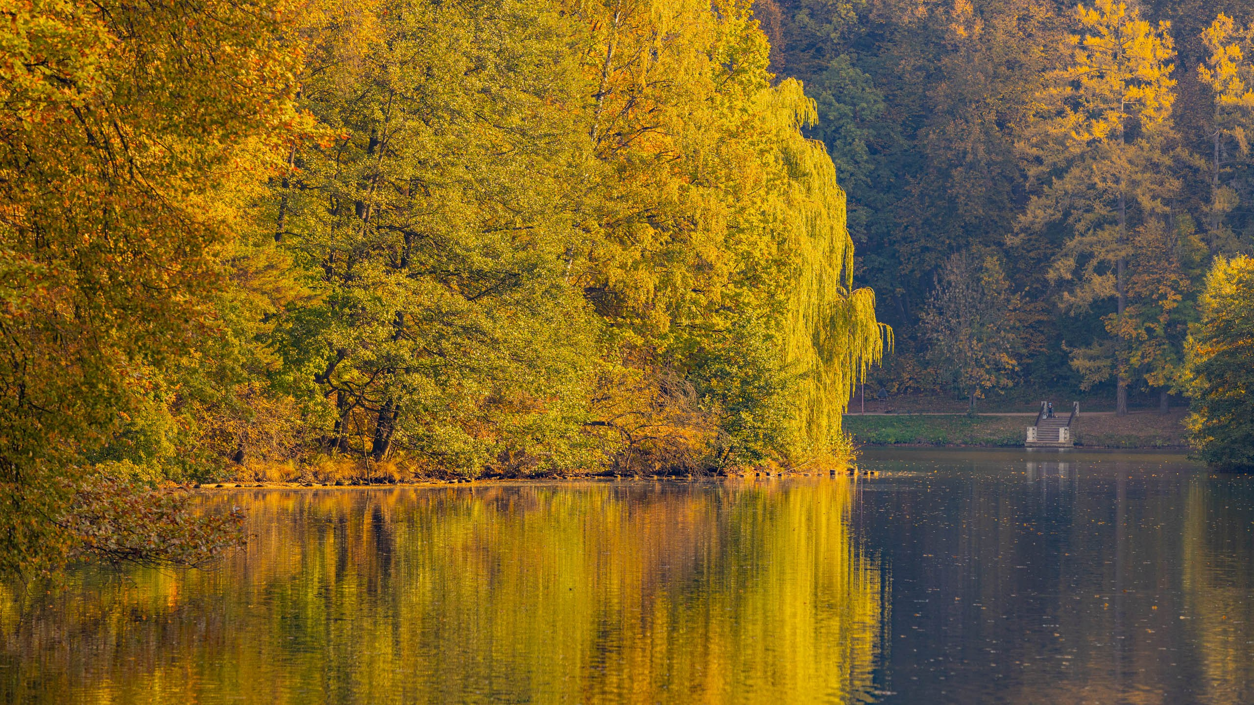 2023 09 Царицыно. Фотографии