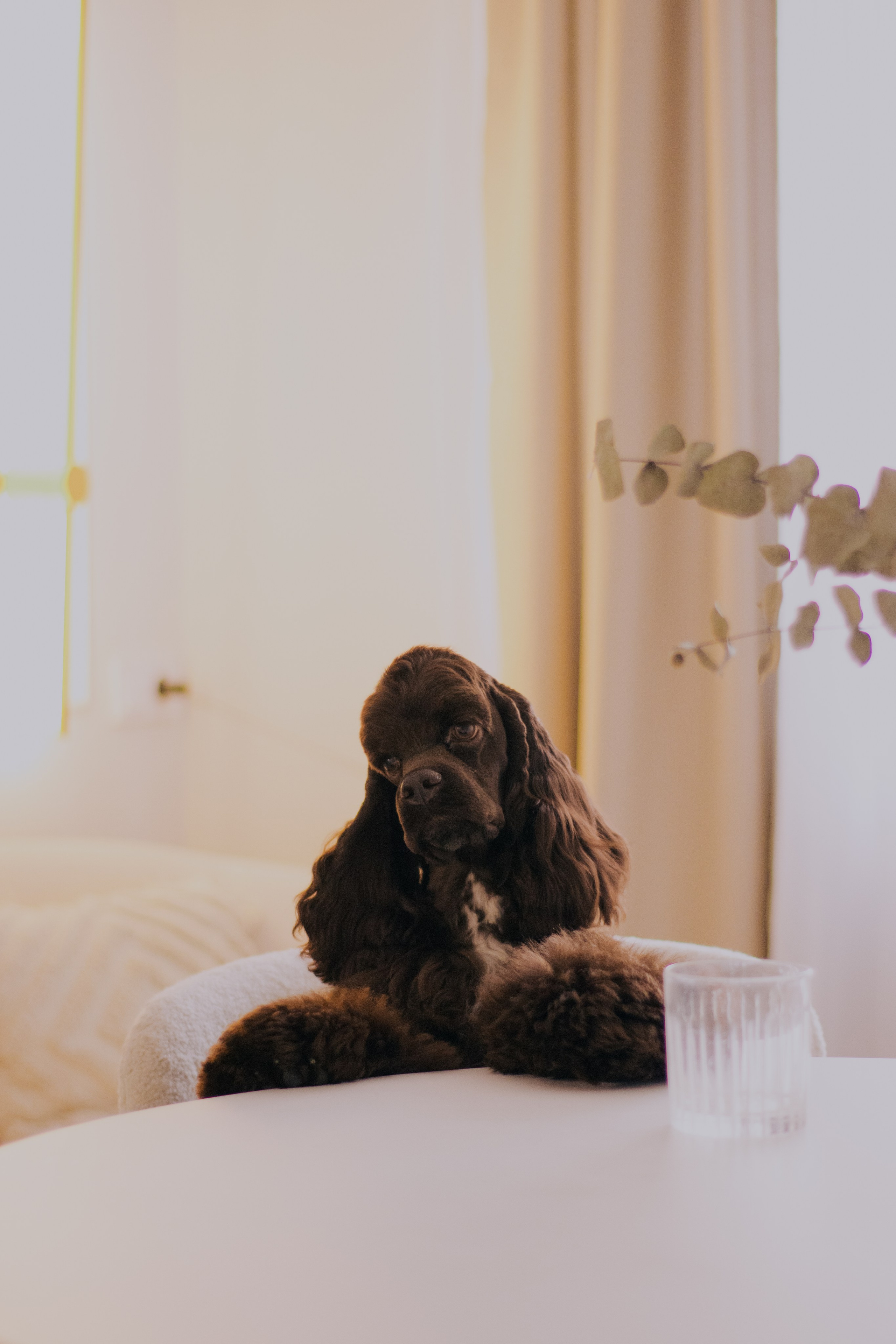 Лера и Анри. Фотограф в Тюмени Лизавета Сапицкая