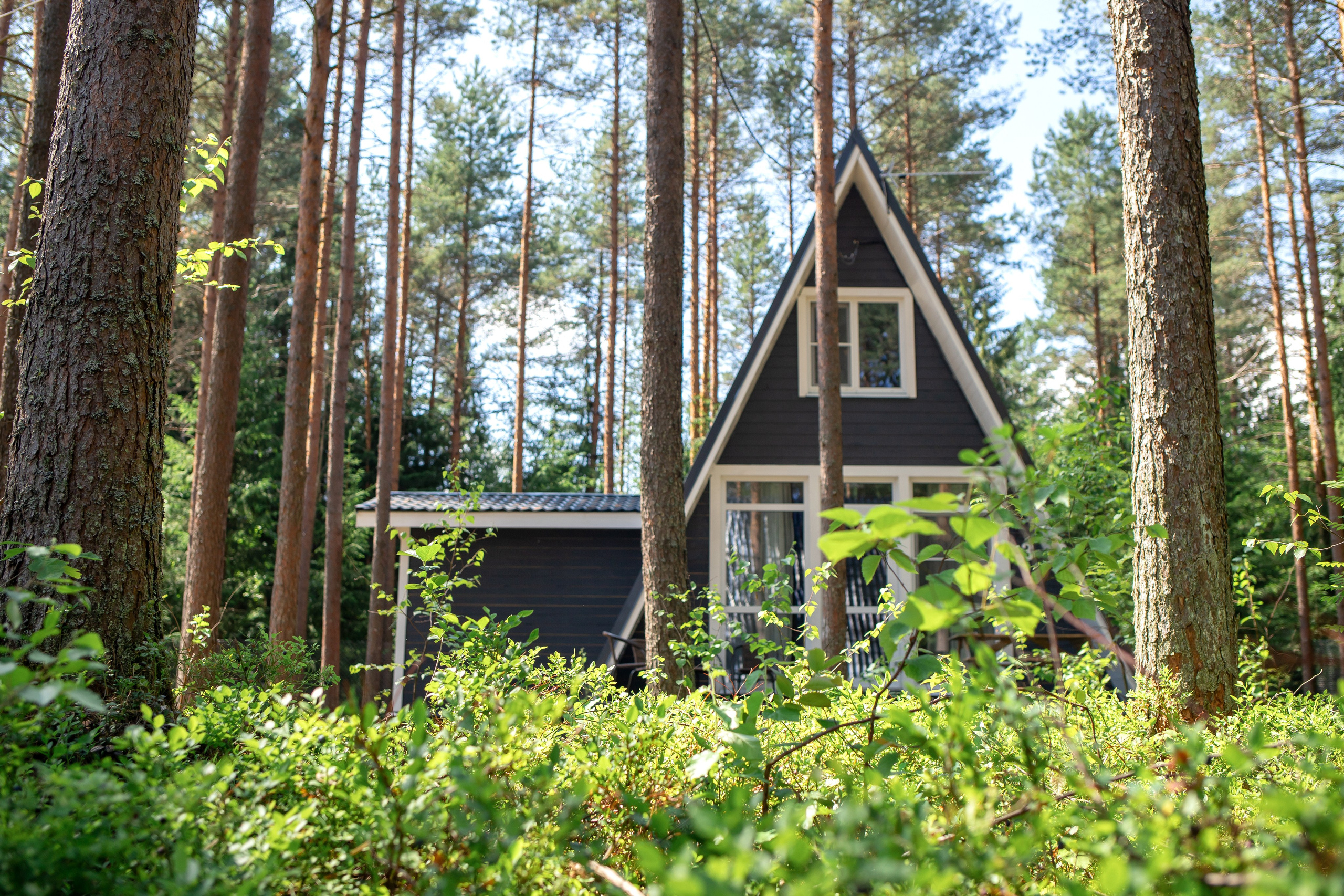 База отдыха Тосненский район ЛО. Фотограф недвижимости и контент-съемки в СПб