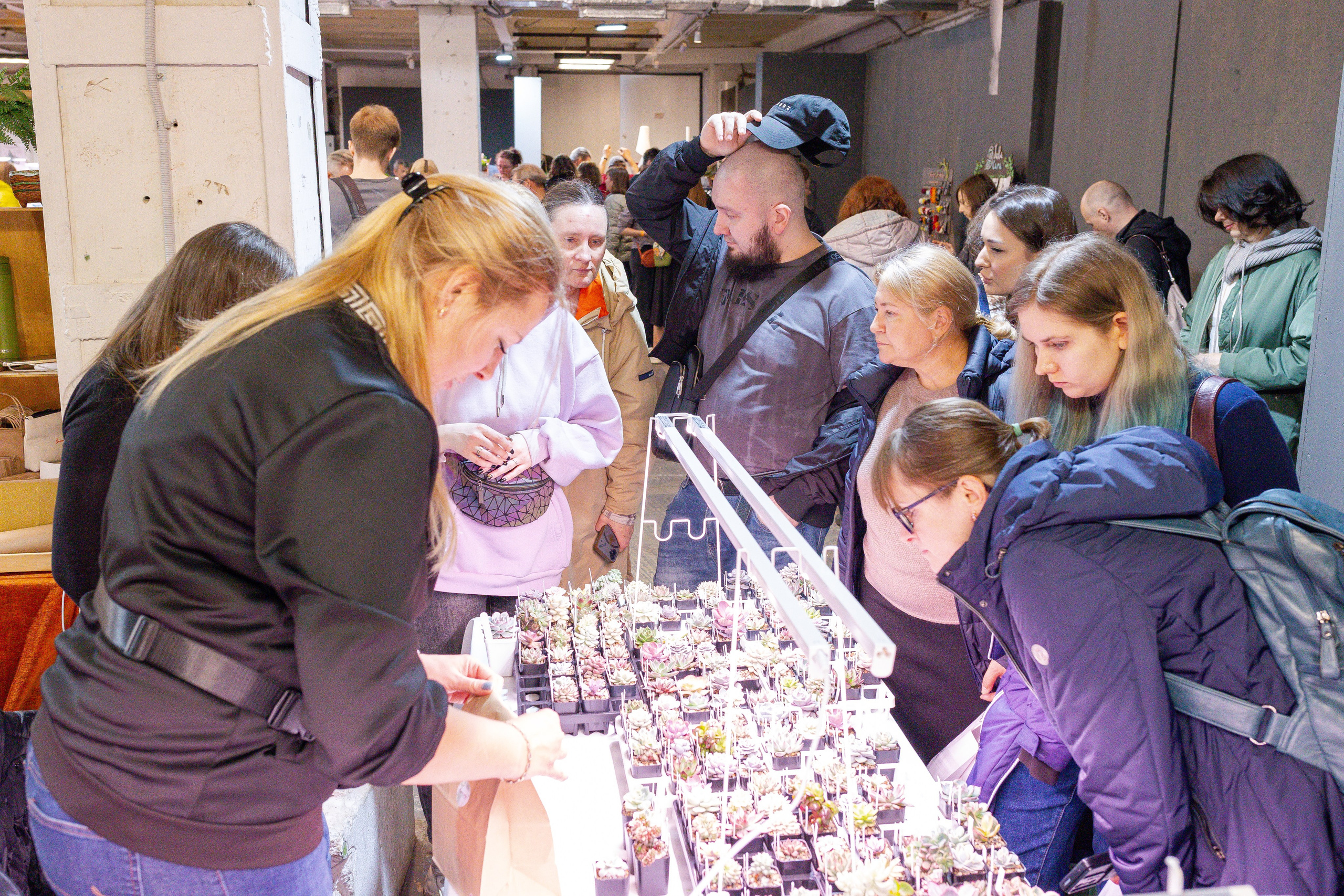 Кактус Фест. Александра Куликова фотограф, Москва