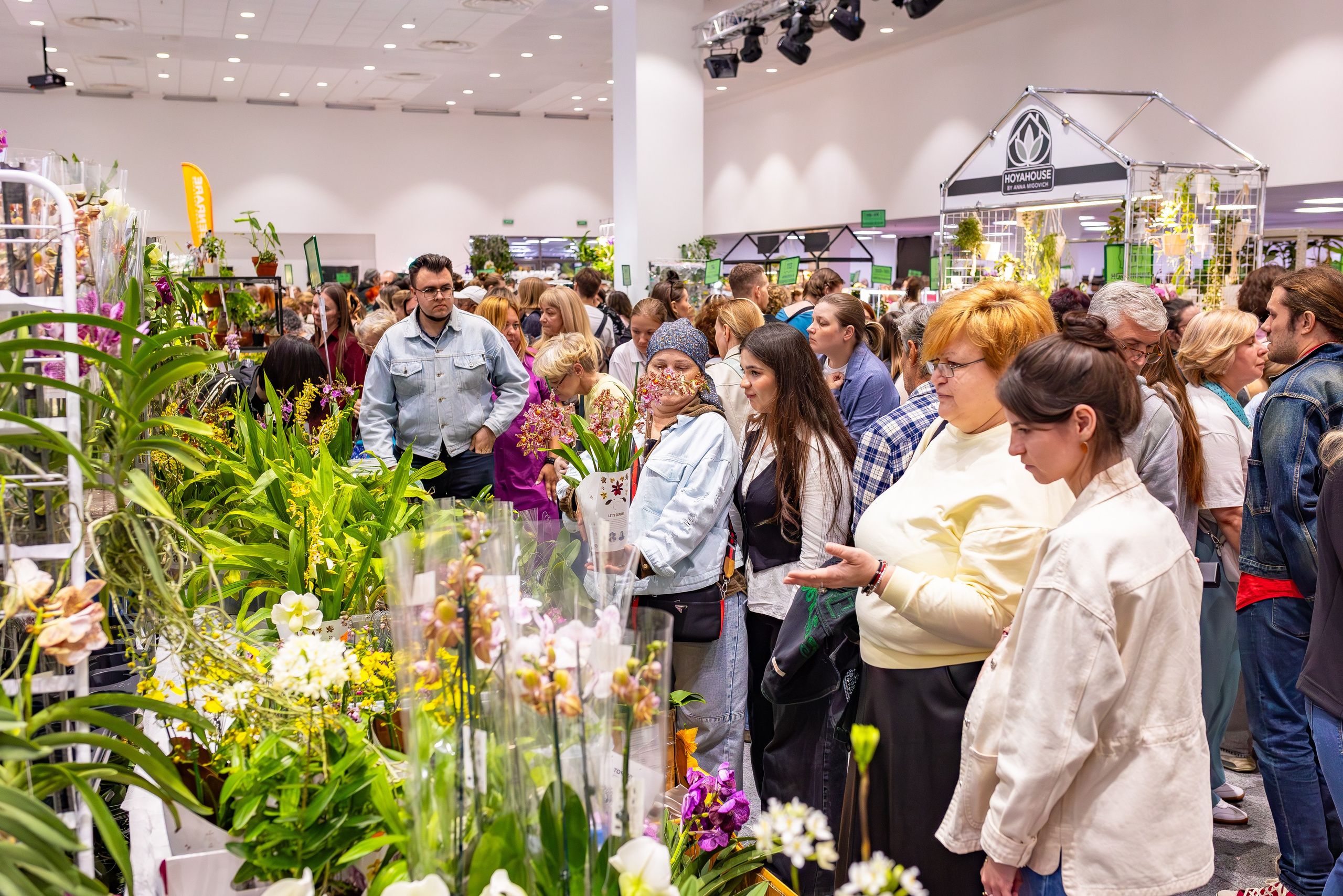 Орхидиум сентябрь 2025. Александра Куликова фотограф, Москва