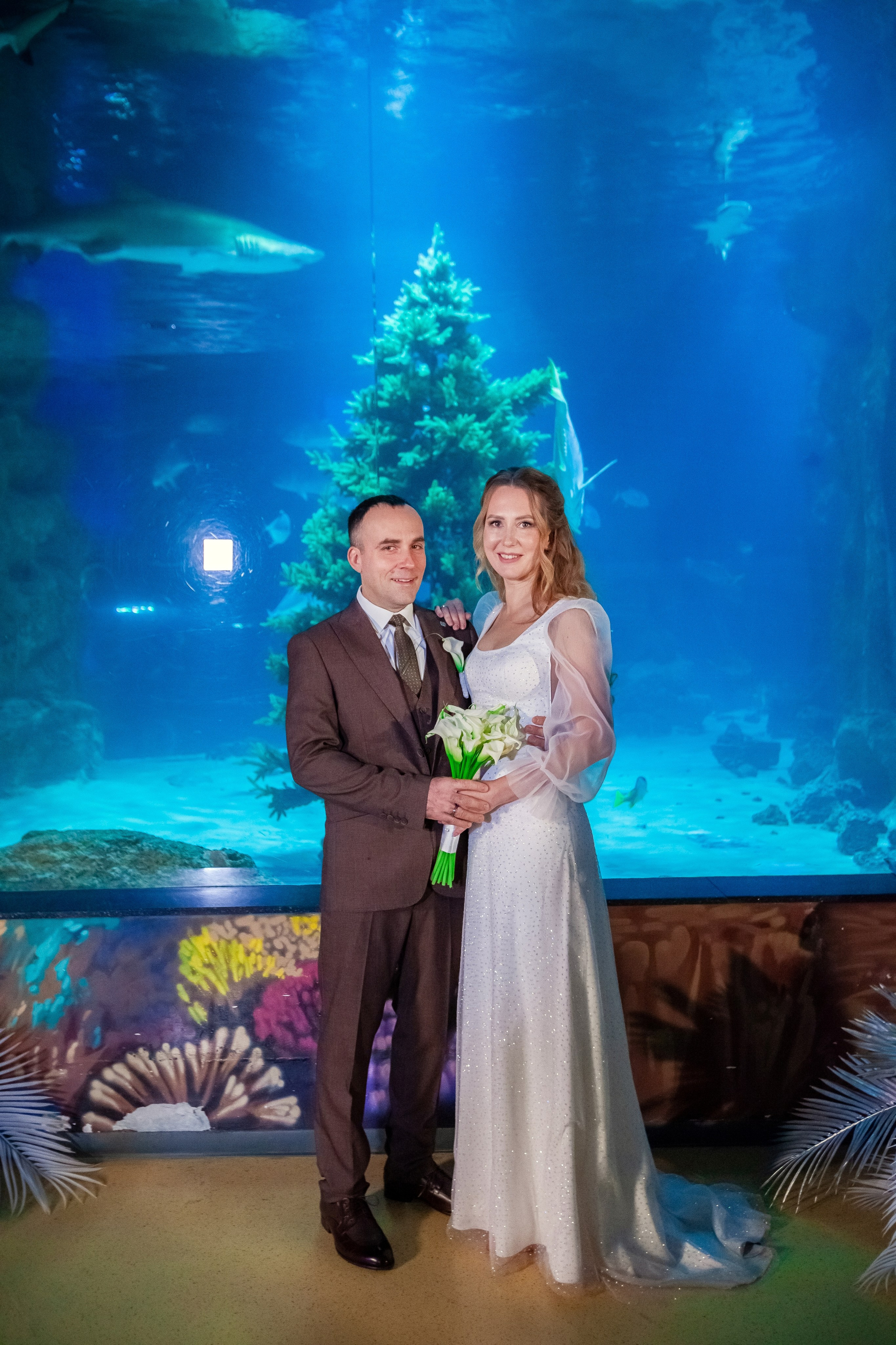 1-12-2023. Главная