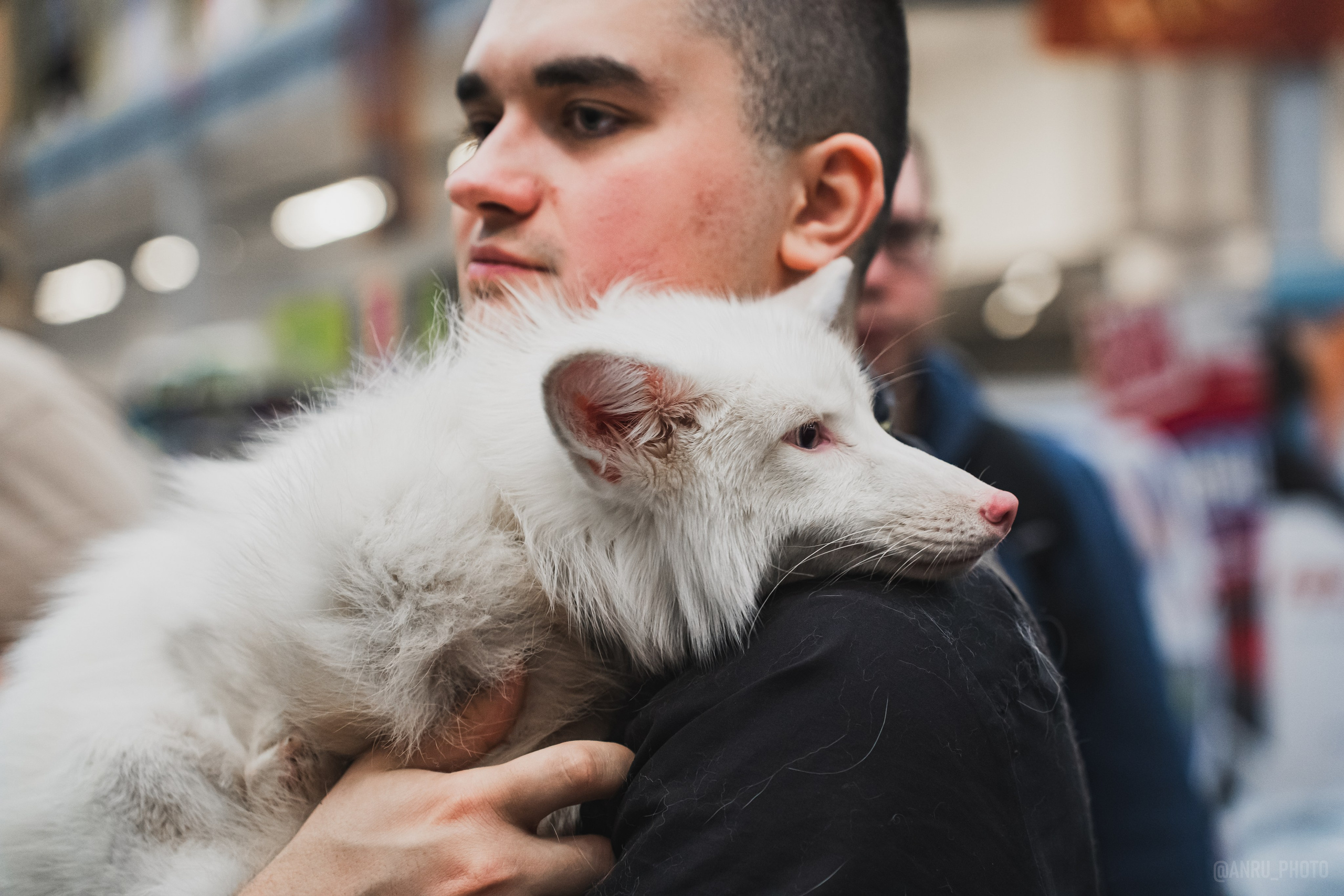 Fox Family fest. Репортажный фотограф Анастасия Рубцова