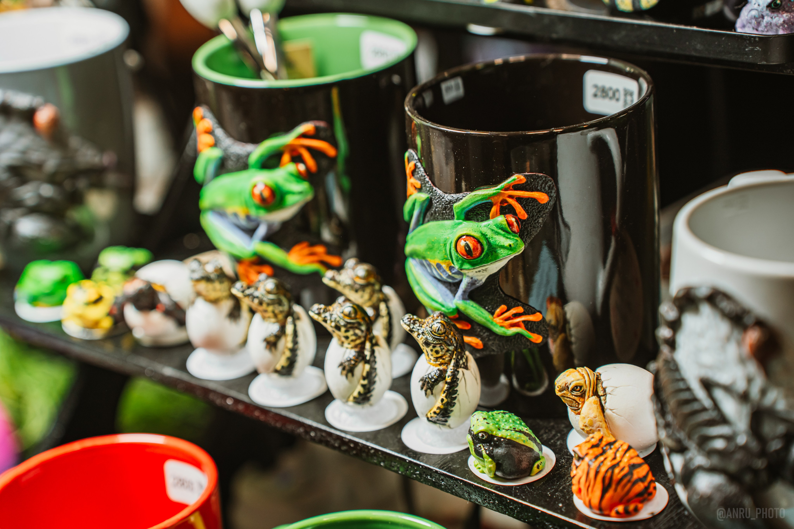 Рептилиум (ручная работа). Репортажный фотограф Анастасия Рубцова