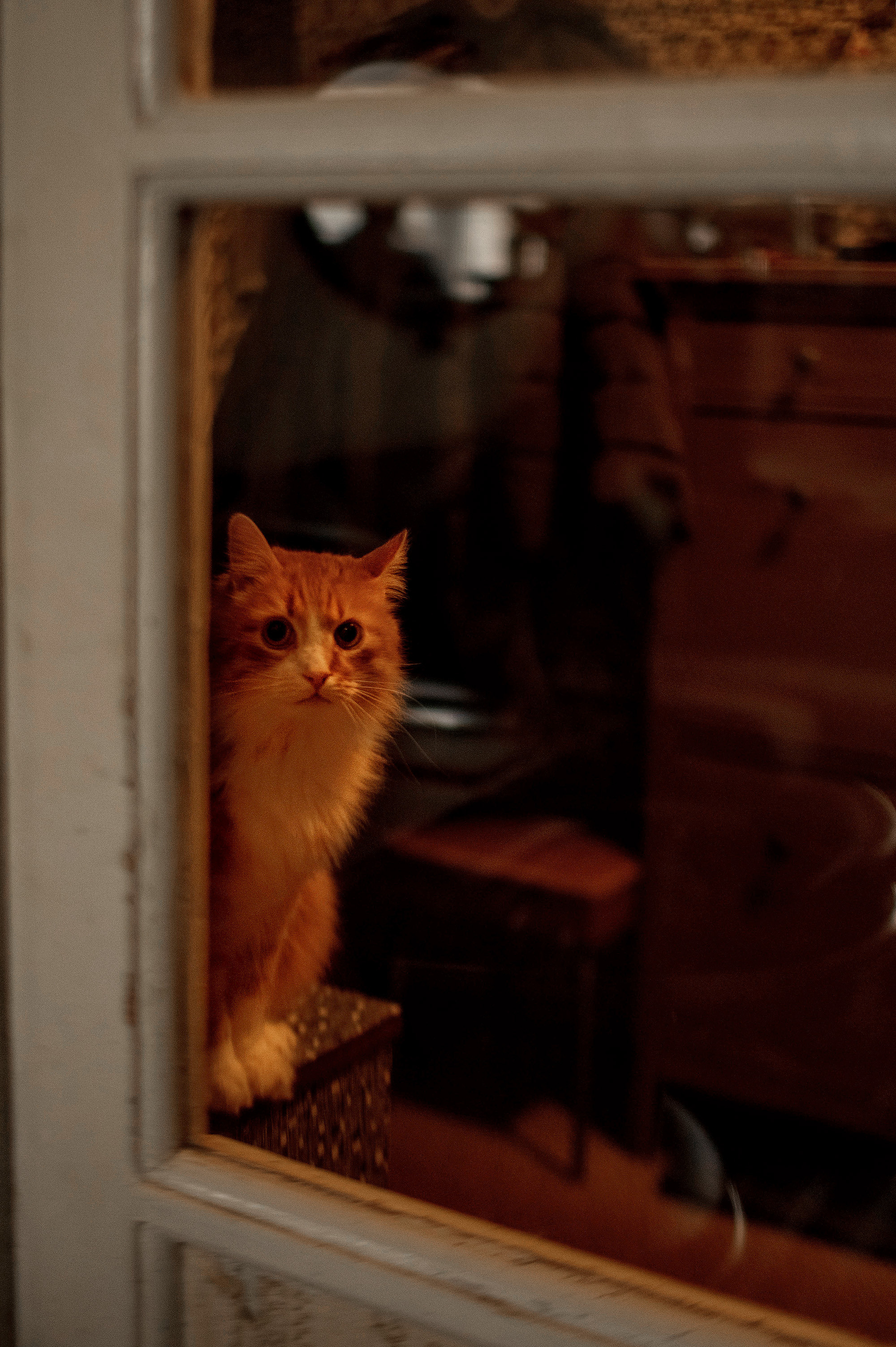 Домашняя съёмка для семьи Марии. Детский и семейный фотограф в Твери Ольга Крестьянинова